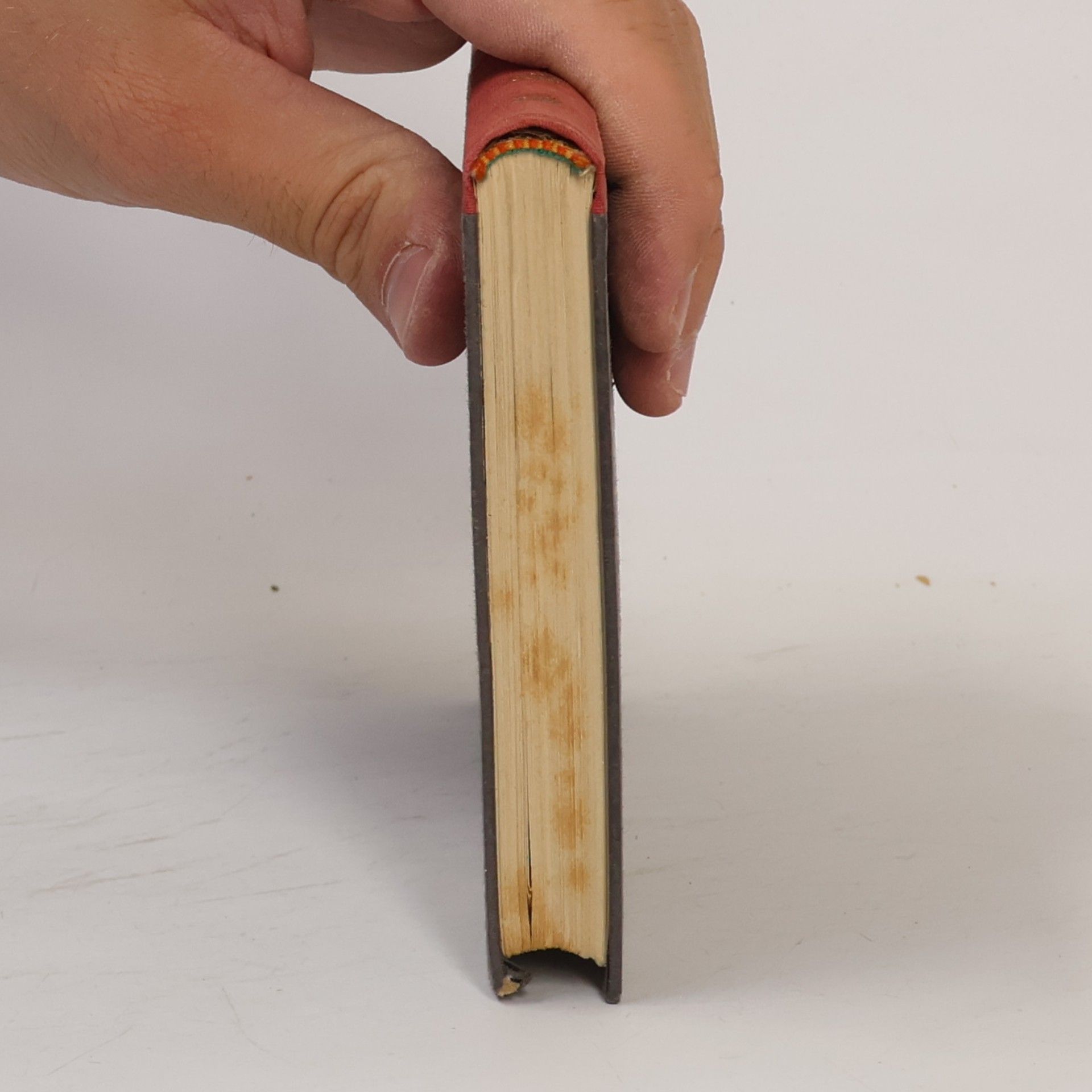 J. E. Poritzky Skizzen aus der Anatomie