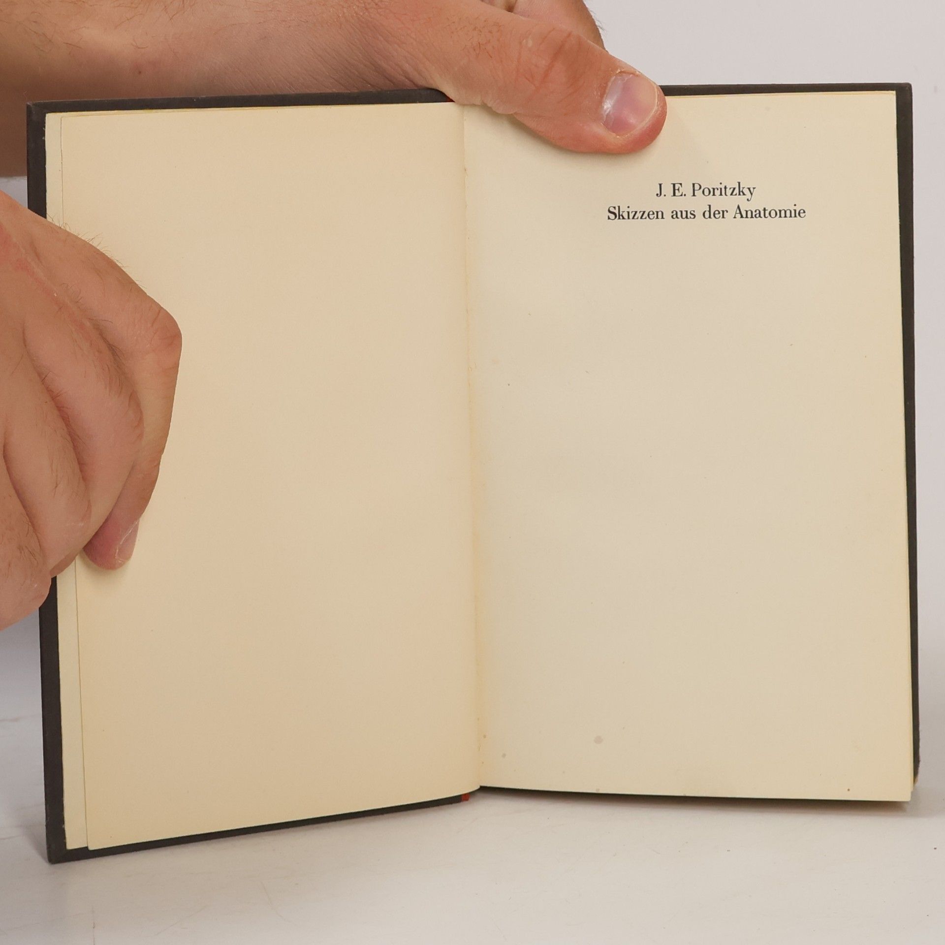 J. E. Poritzky Skizzen aus der Anatomie