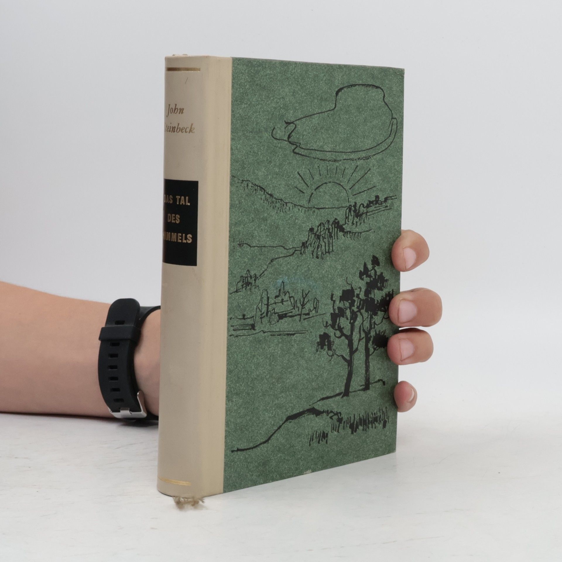 John Steinbeck Das tal des himmels
