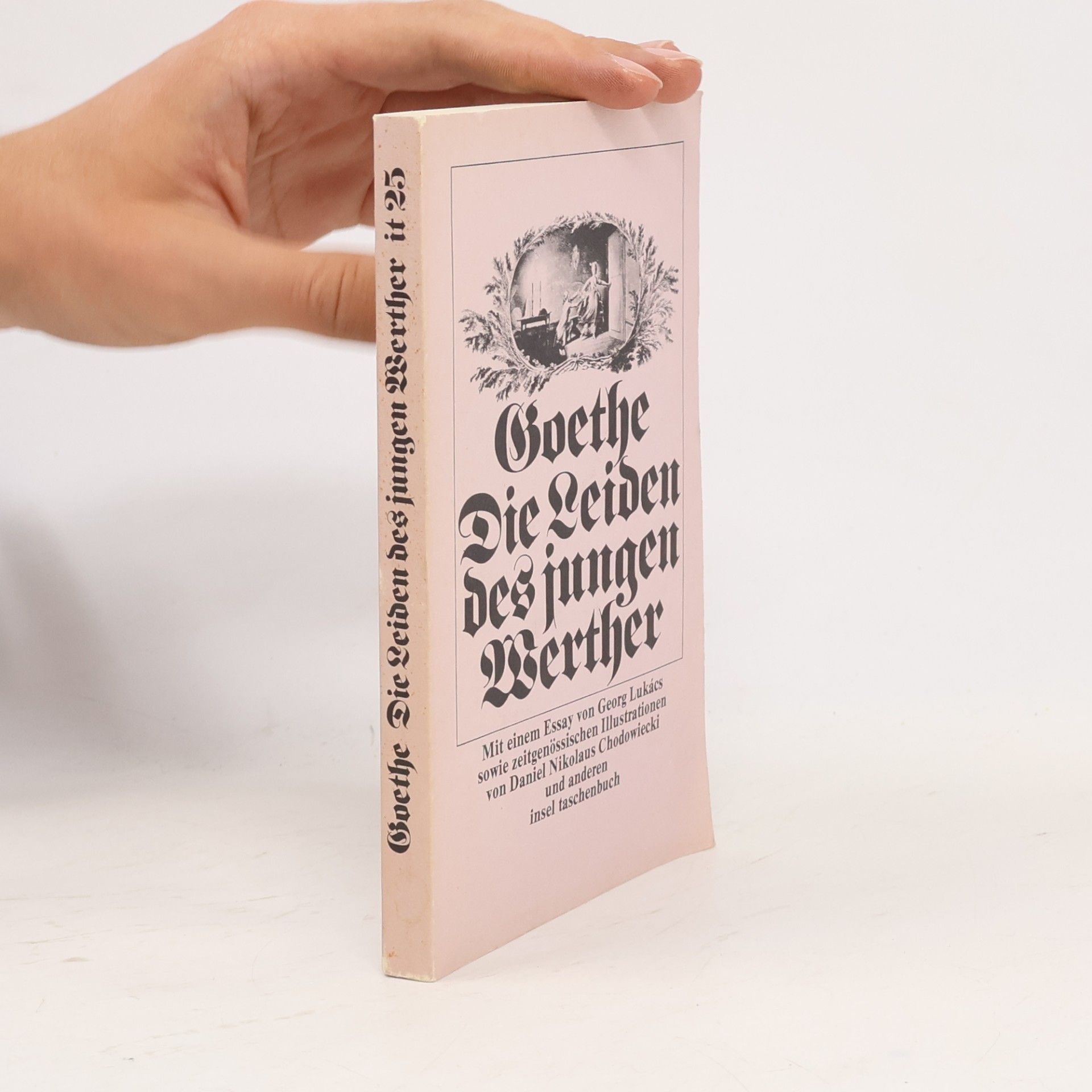 Johann Wolfgang von Goethe Die Leiden des jungen Werther