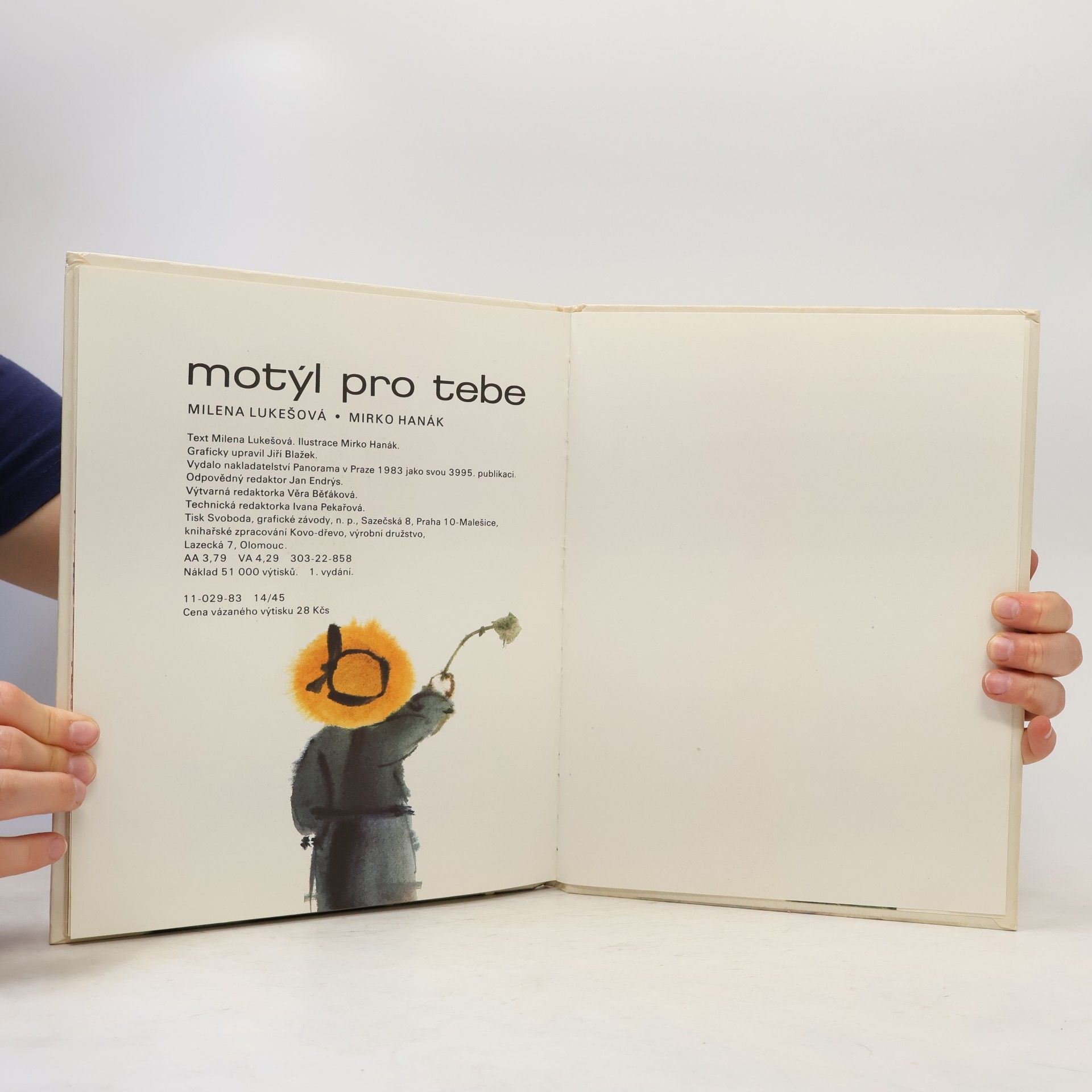 Mirko Hanák Motýl pro tebe