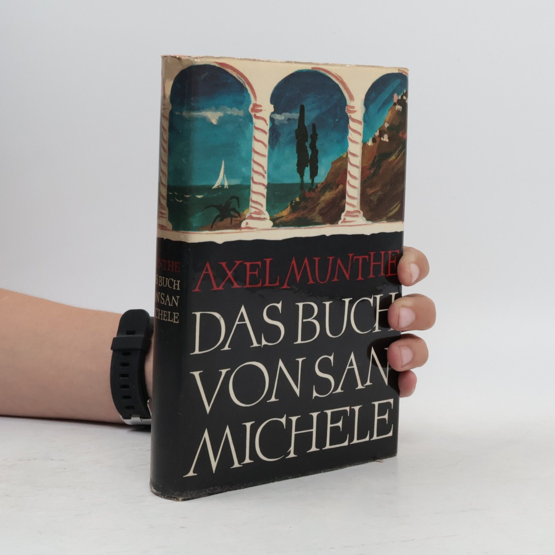 Das buch von San Michele