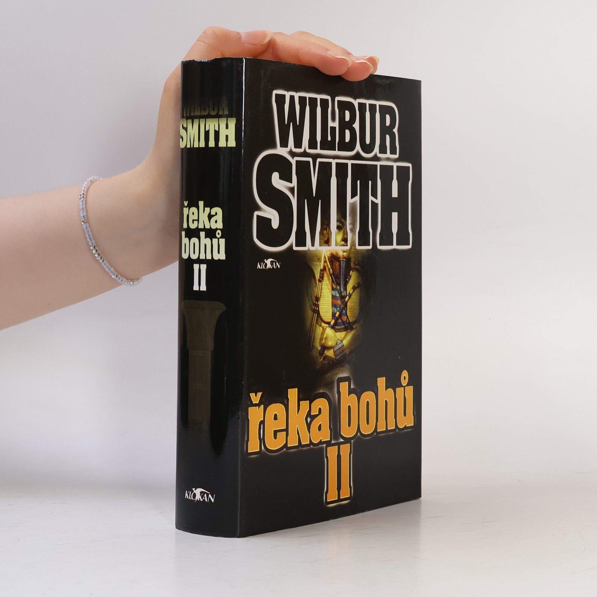 Wilbur Smith Řeka bohů II