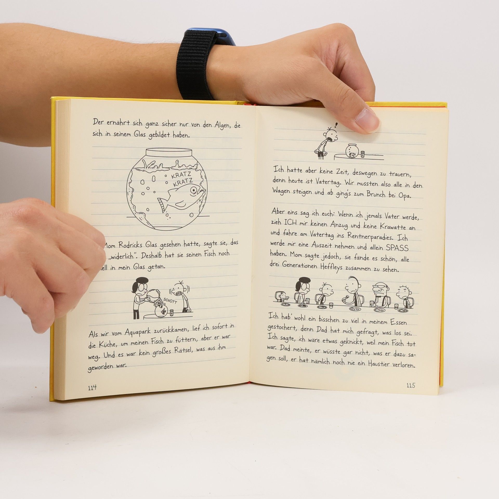 Jeff Kinney Gregs Tagebuch 4. Ich war's nicht!