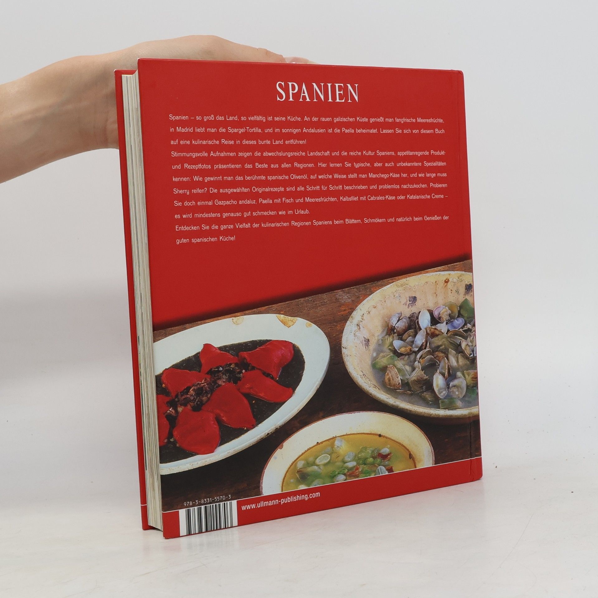 Autorenkollektiv Spanien Spezialitätenküche