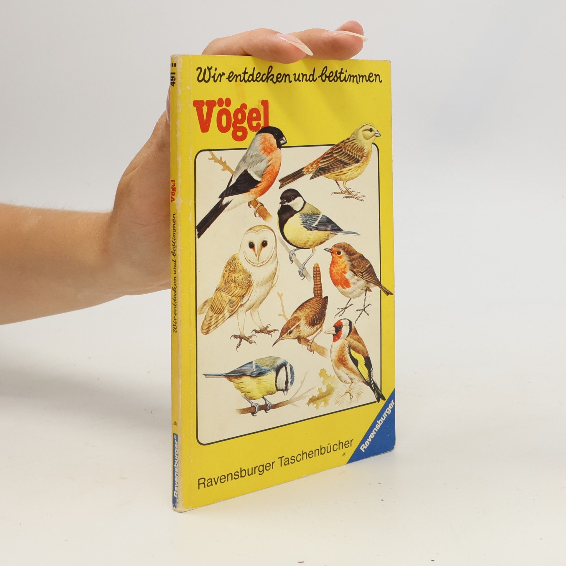 Autores varios Wir entdecken und bestimmen - Vögel
