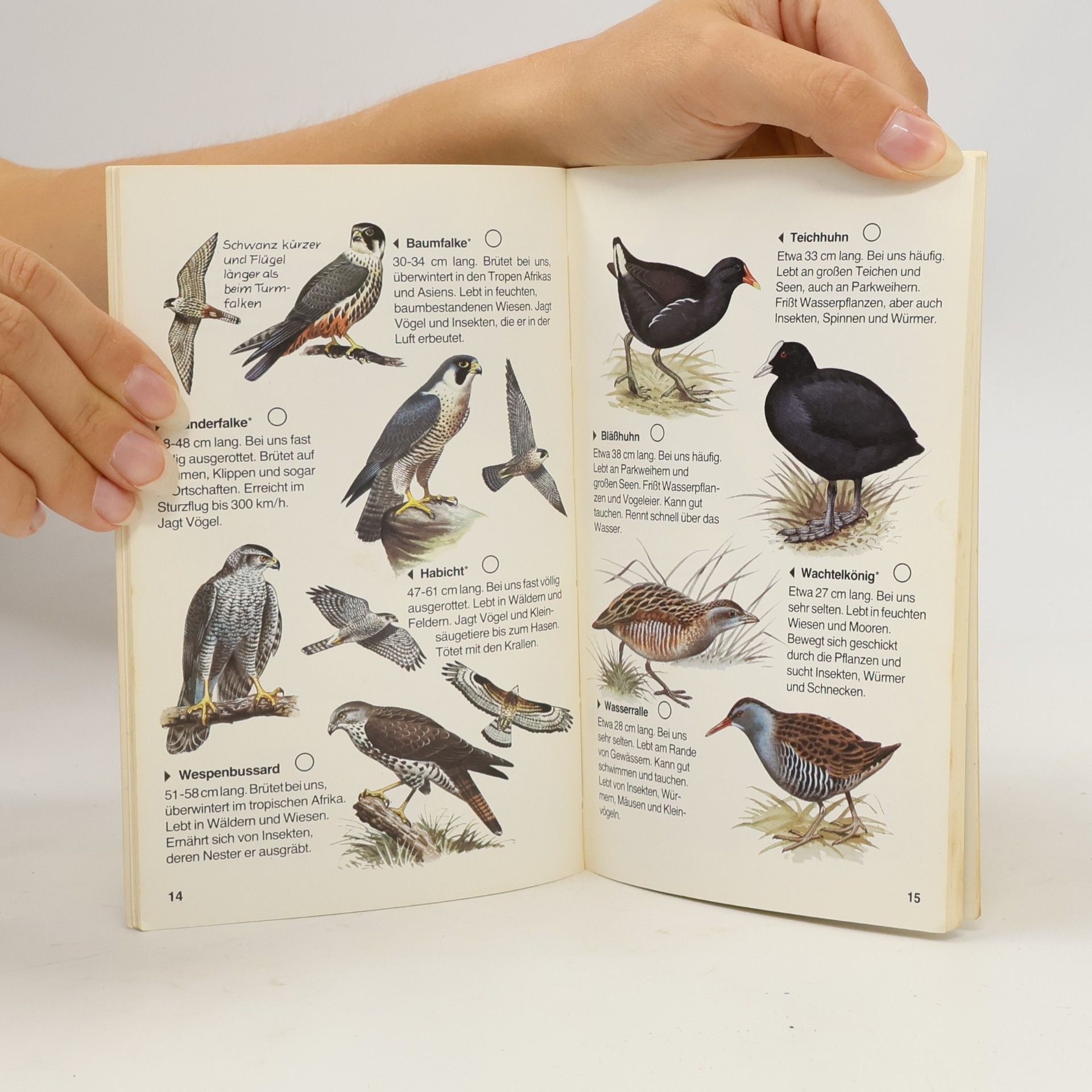 Autores varios Wir entdecken und bestimmen - Vögel