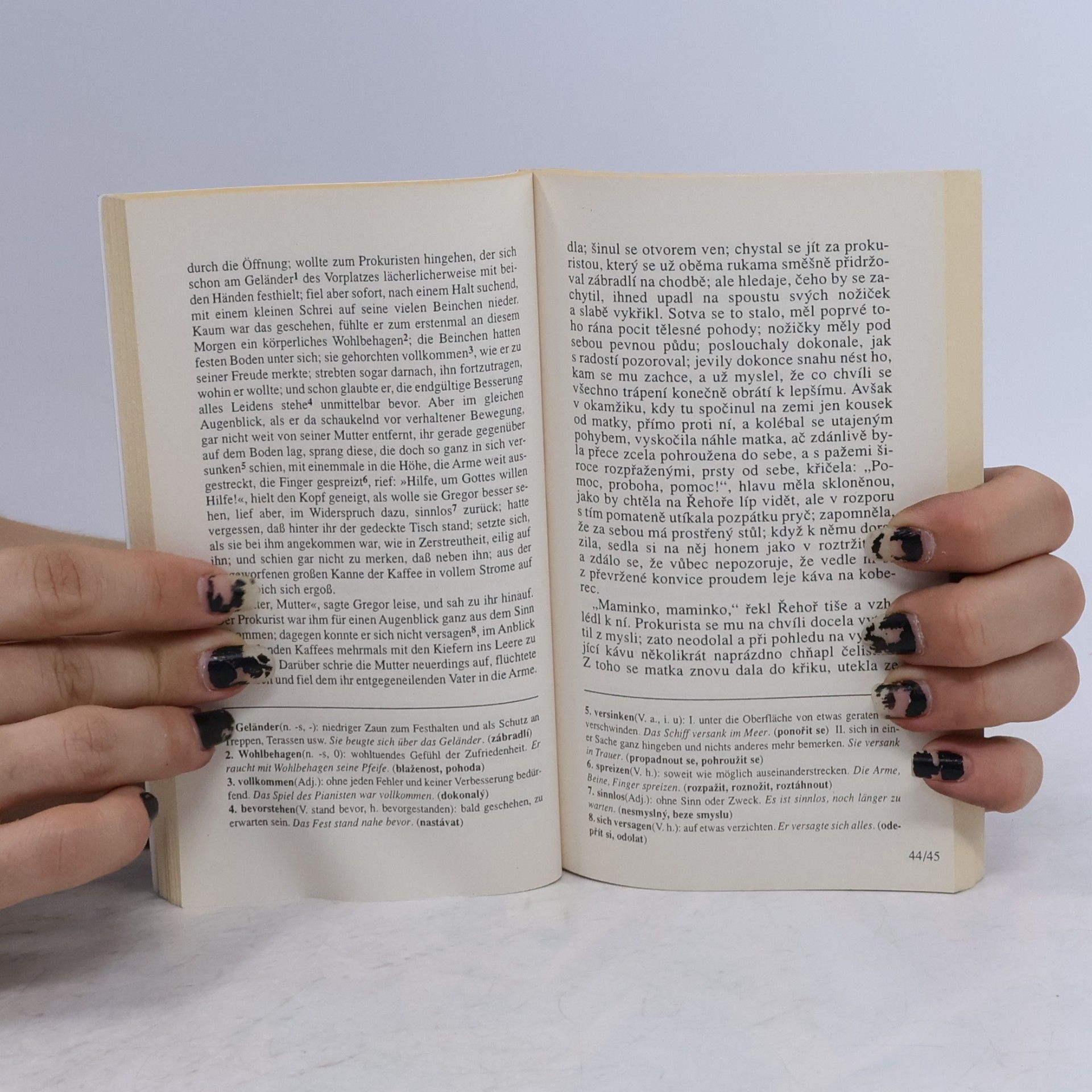 Franz Kafka Die Verwandlung = Proměna