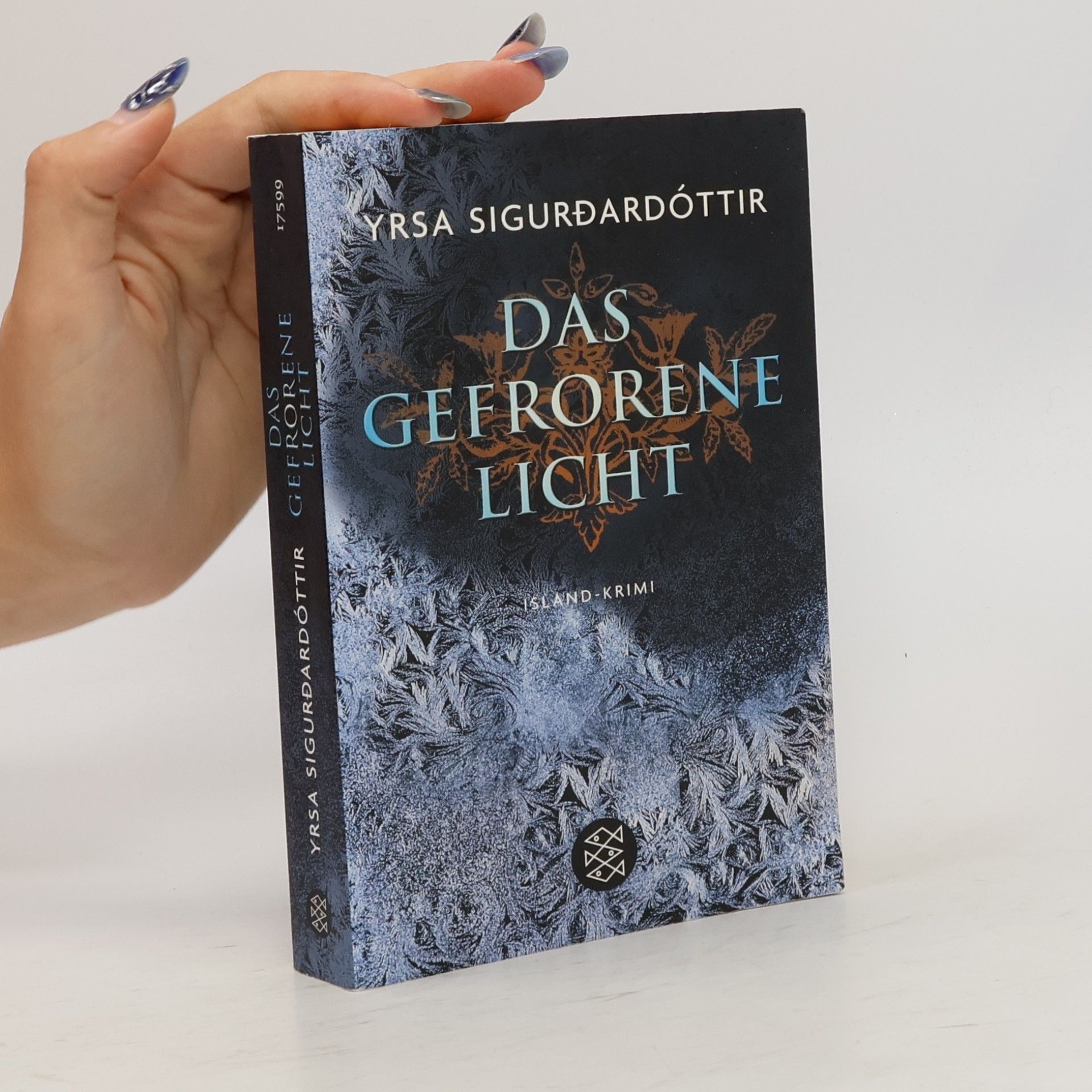 Yrsa Sigurðardóttir Das gefrorene Licht : Island - Krimi
