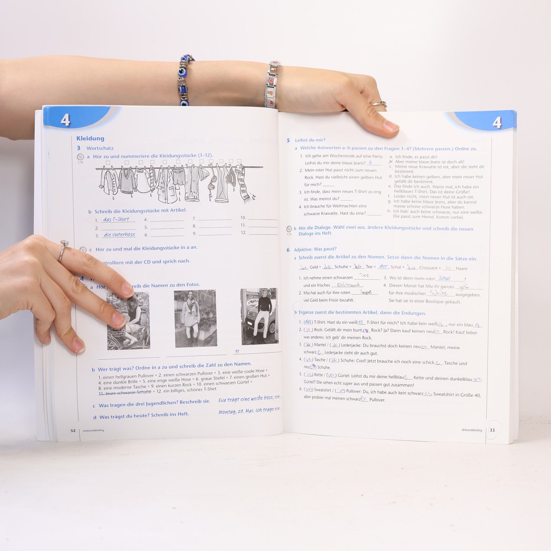 Birgitta Fröhlich Arbeitsbuch, m. 2 Audio-CDs