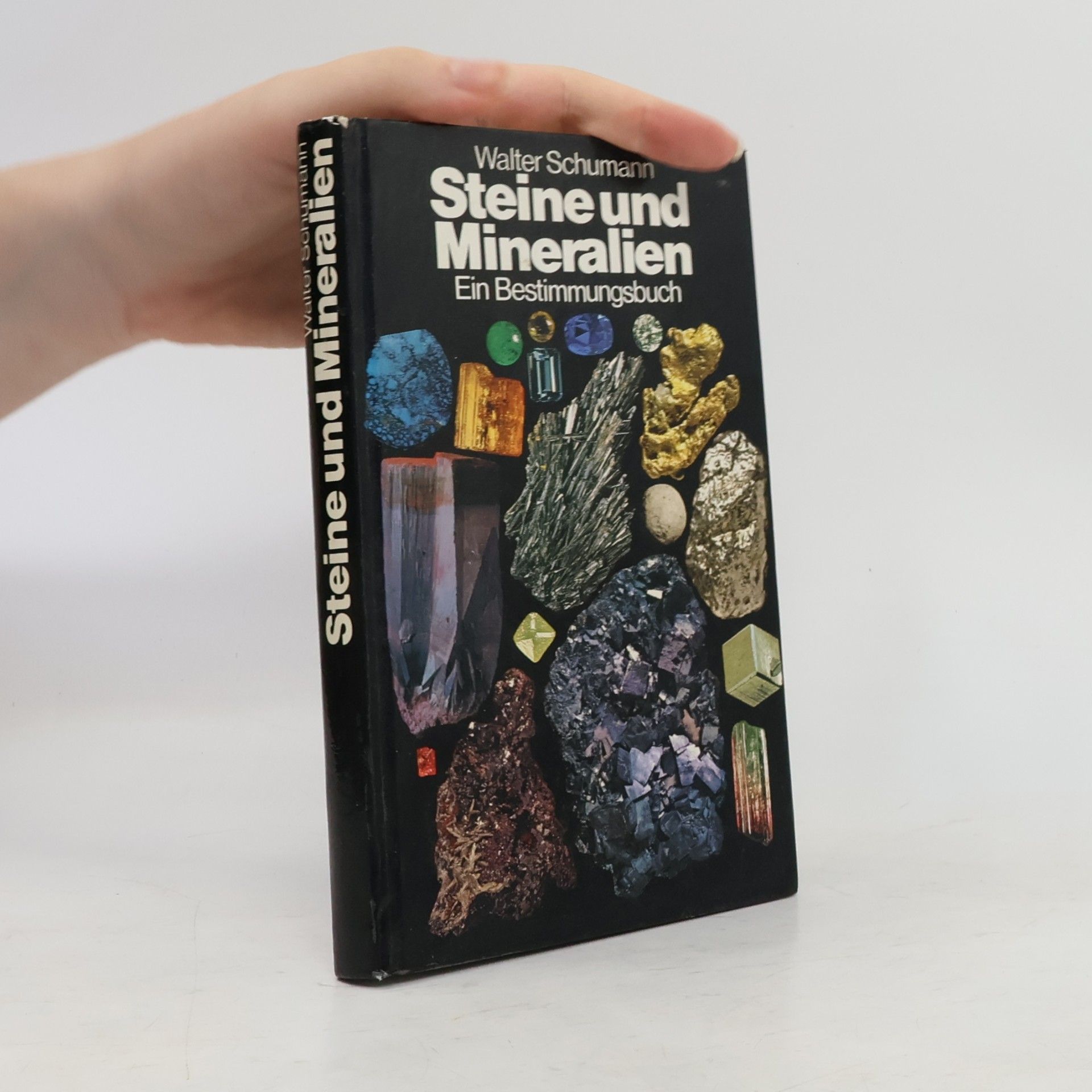 Walter Schumann Steine und Mineralien