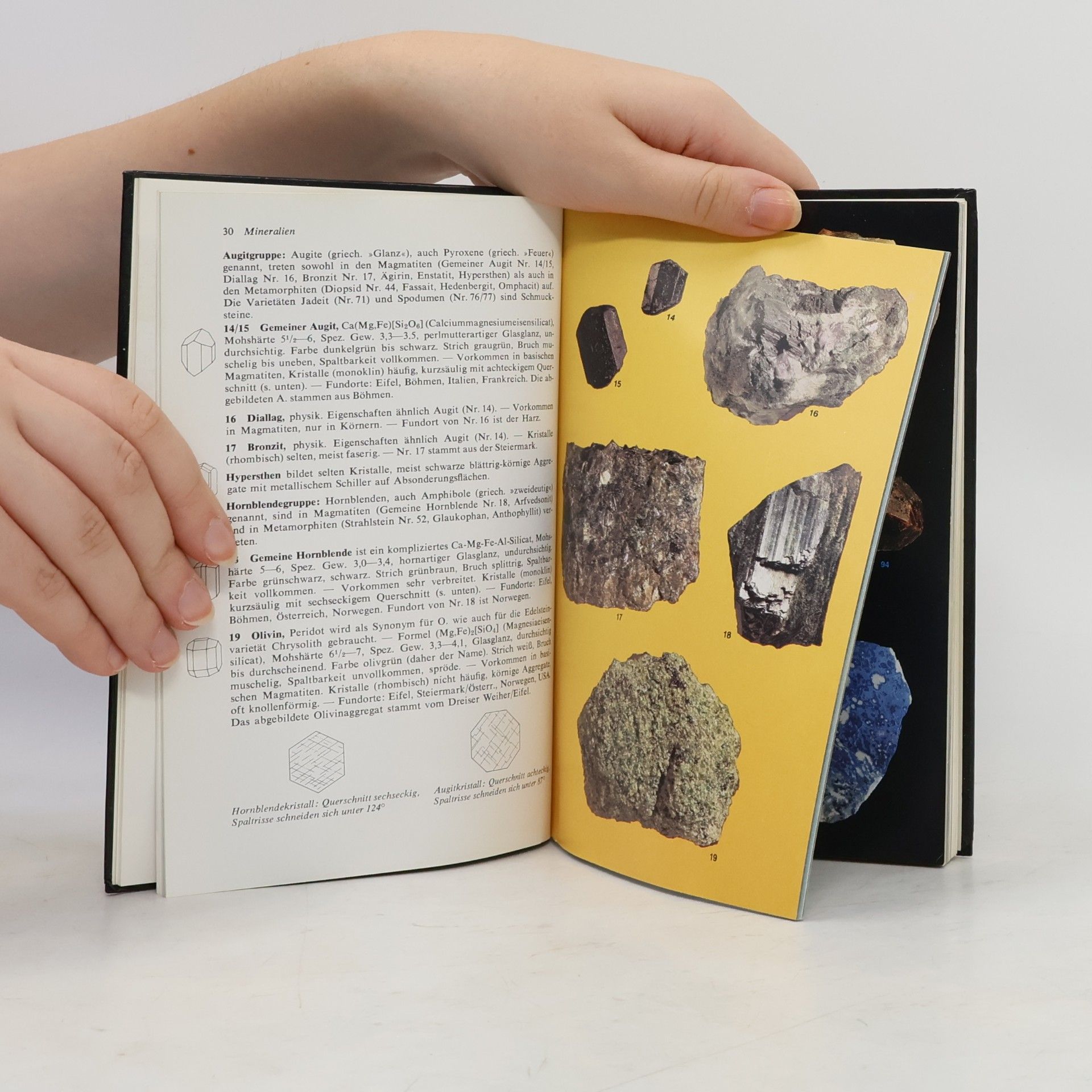 Walter Schumann Steine und Mineralien