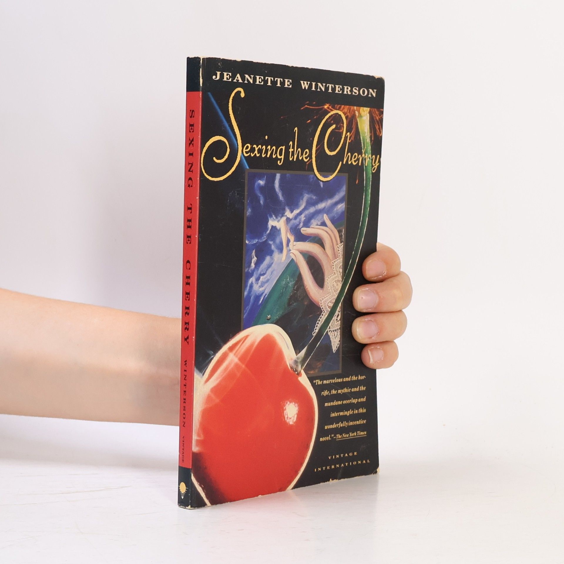 Jeanette Winterson Sexing the Cherry