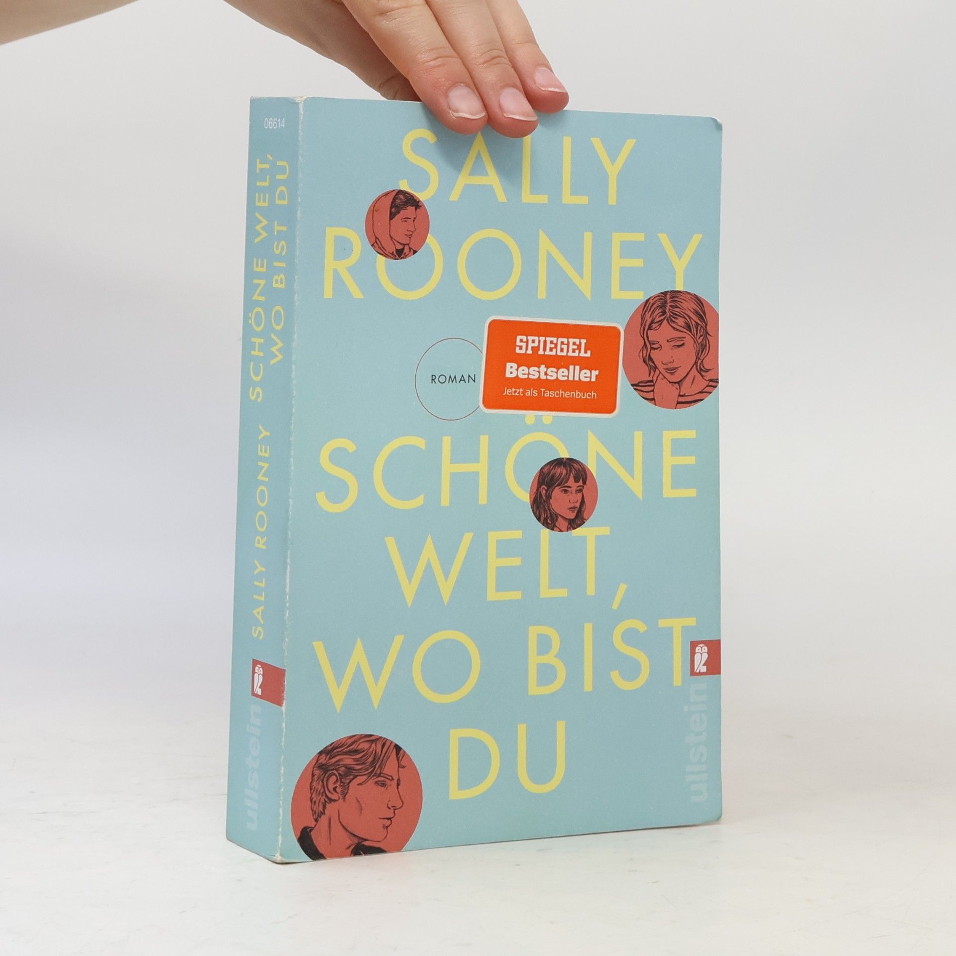 Sally Rooney Schöne Welt, wo bist du