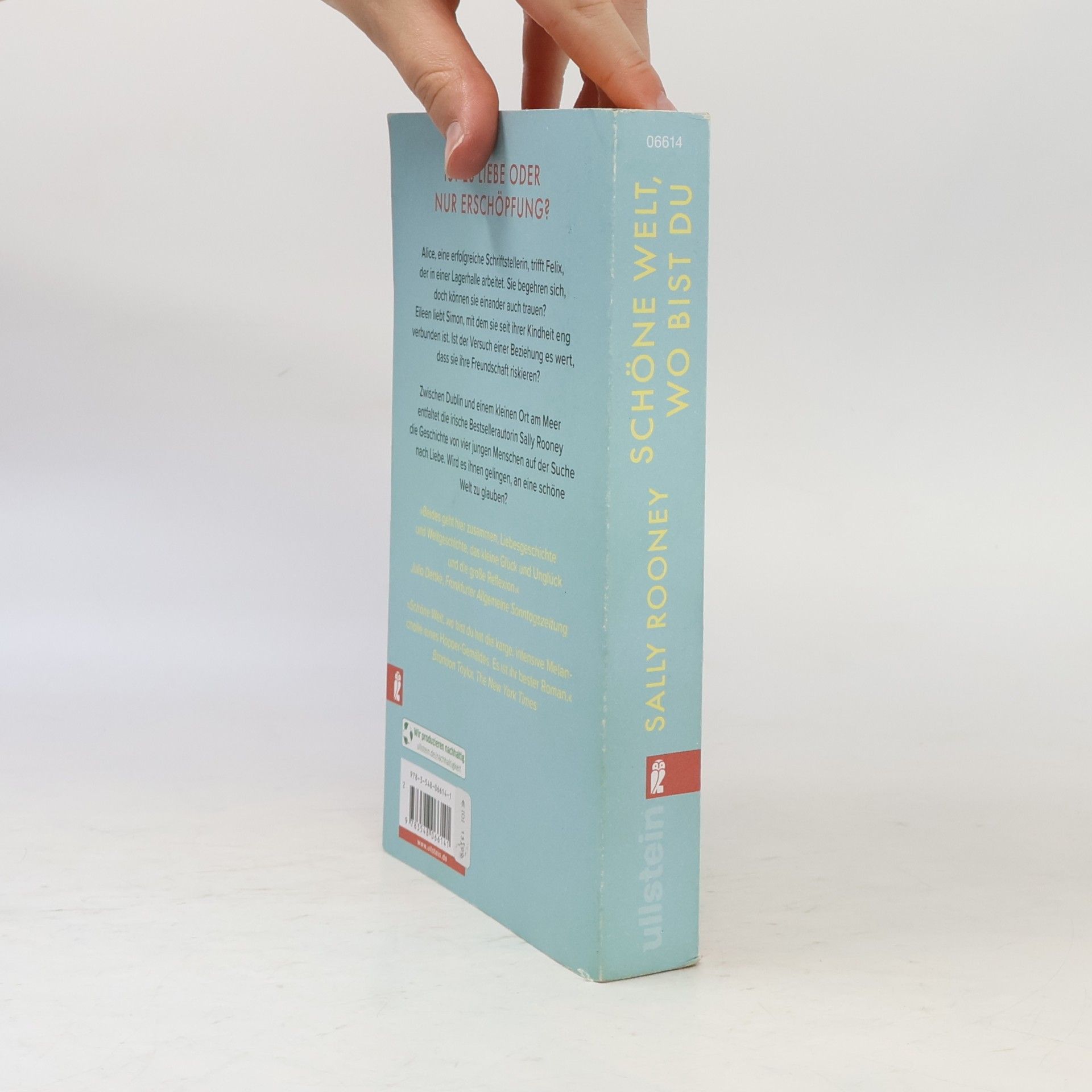 Sally Rooney Schöne Welt, wo bist du