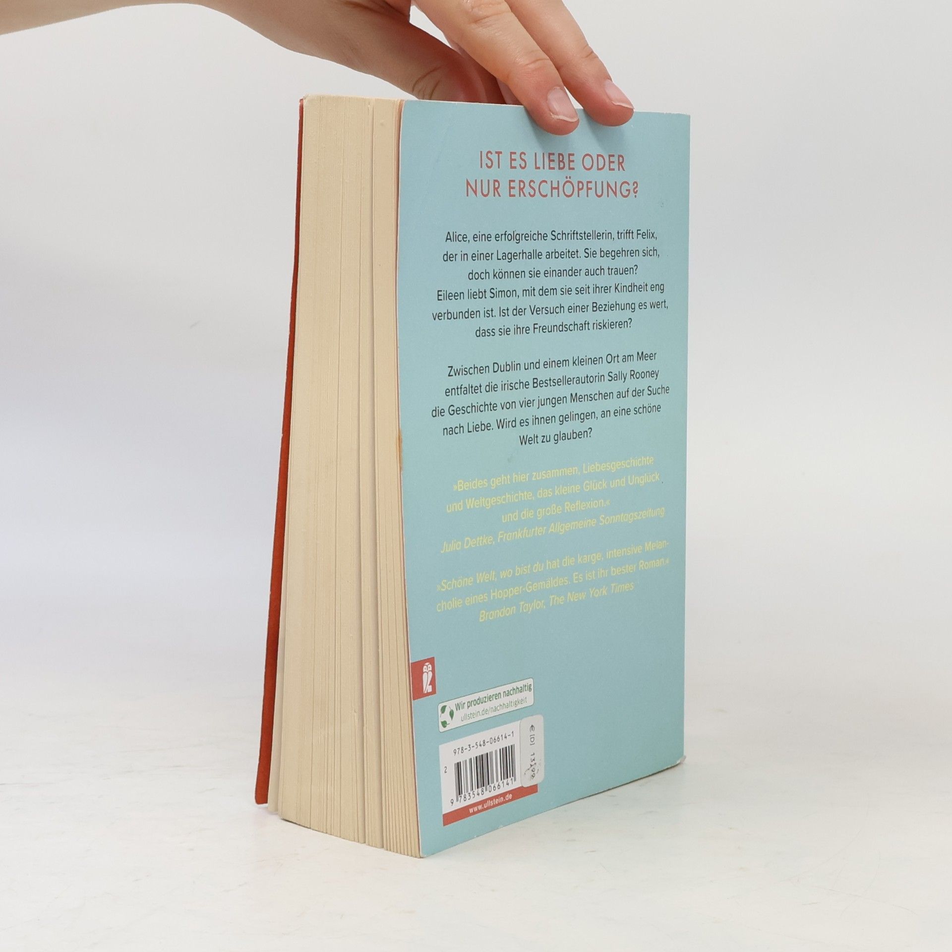 Sally Rooney Schöne Welt, wo bist du