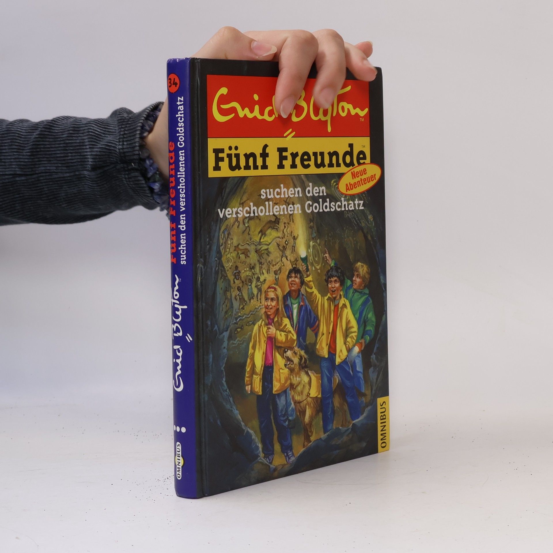 Enid Blyton Fünf Freunde suchen den verschollenen Goldschatz