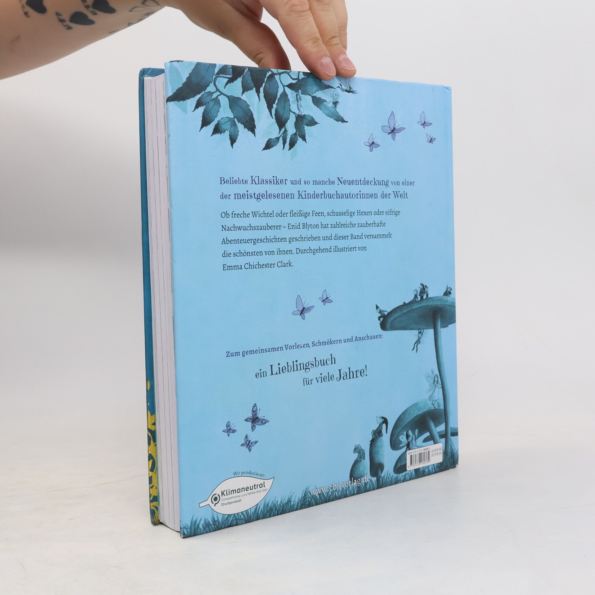 Enid Blyton Wichtelstreich und Feenreich - Die schönsten Zaubergeschichten