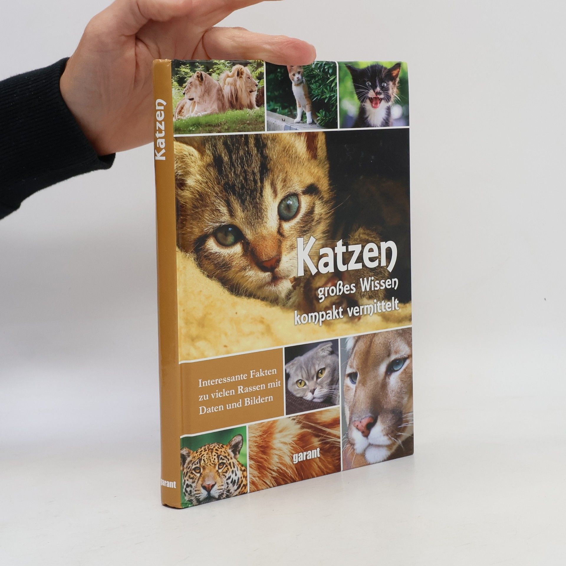 Autorenkollektiv Katzen