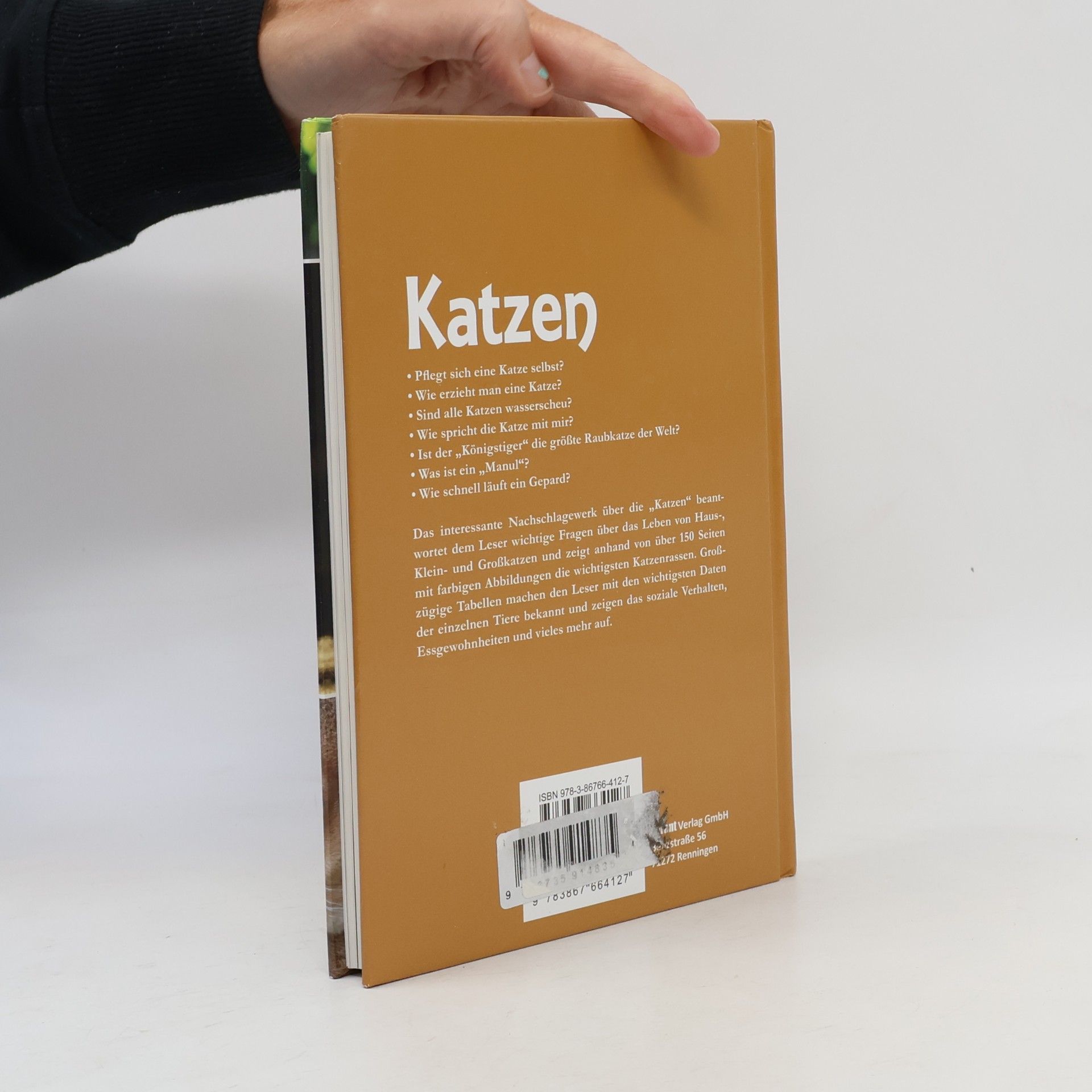 Katzen