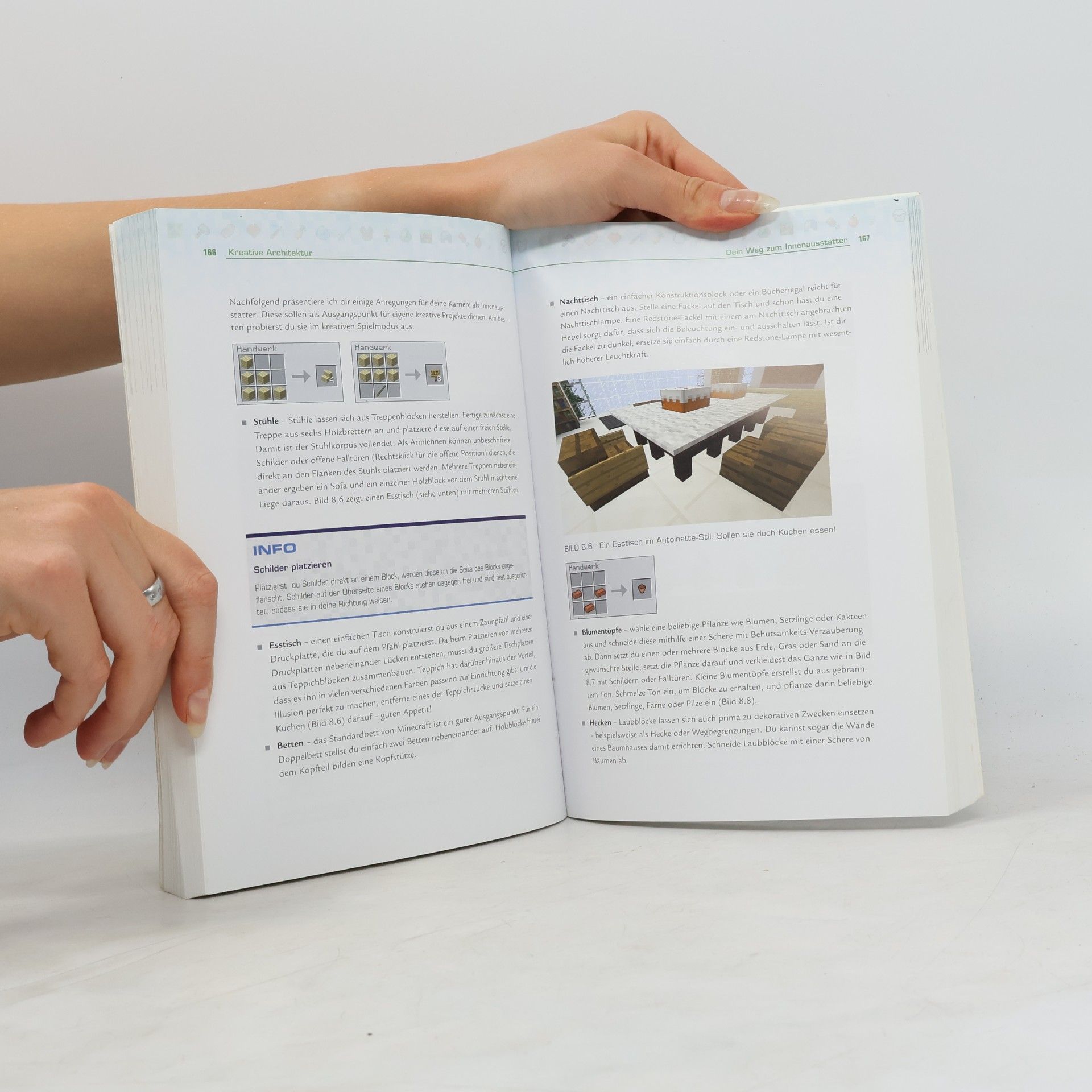 Stephen O’Brien Das große Minecraft-Buch - aktualisiert auf Version 1.8