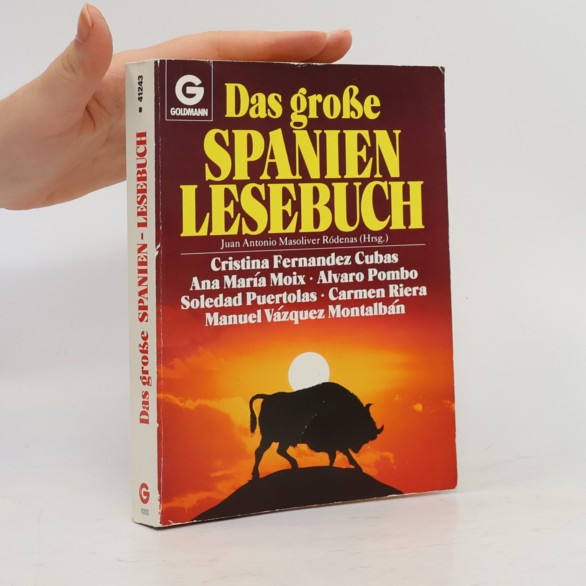 Juan Antonio Masoliver Ródenas Das große Spanien-Lesebuch