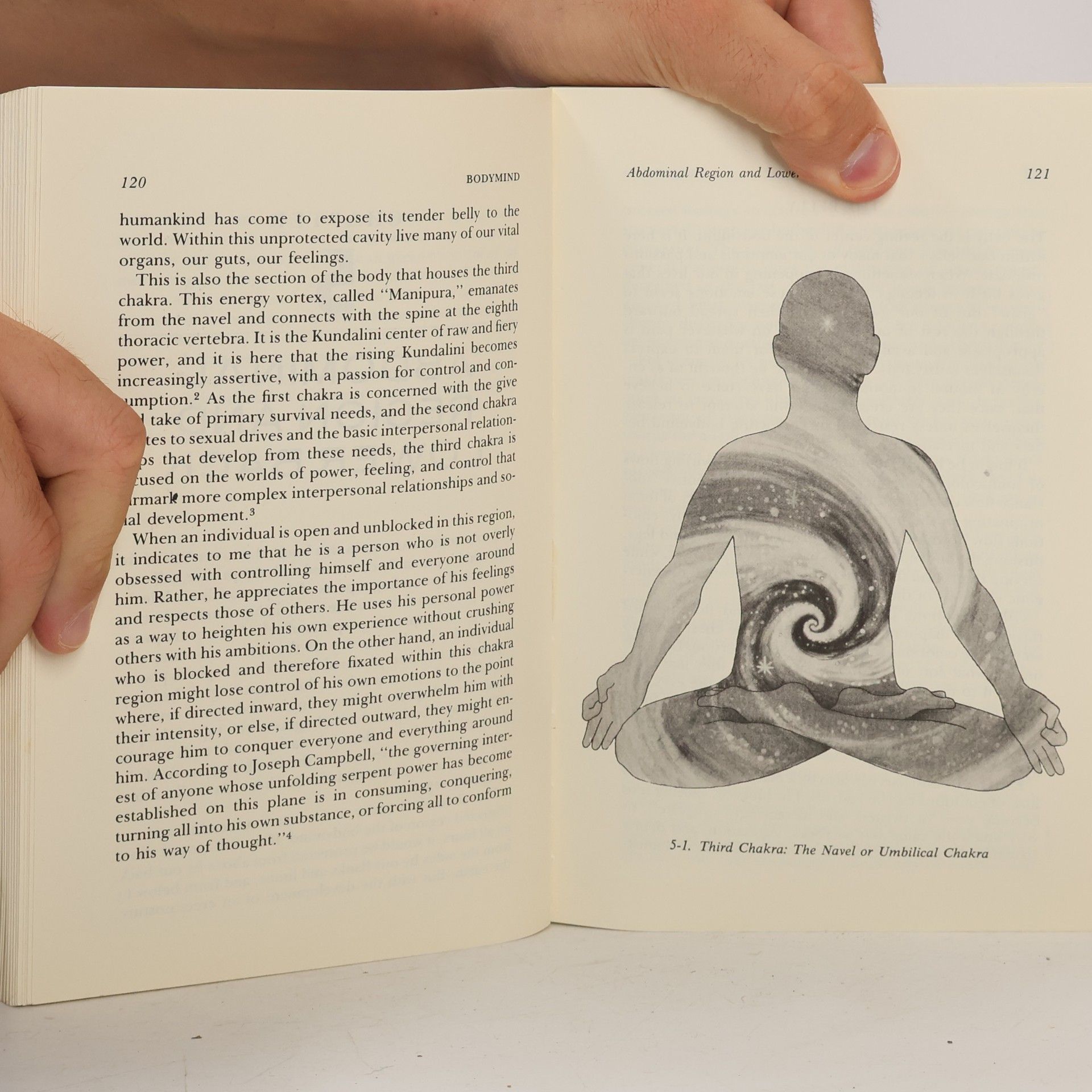 Ken Dychtwald Bodymind