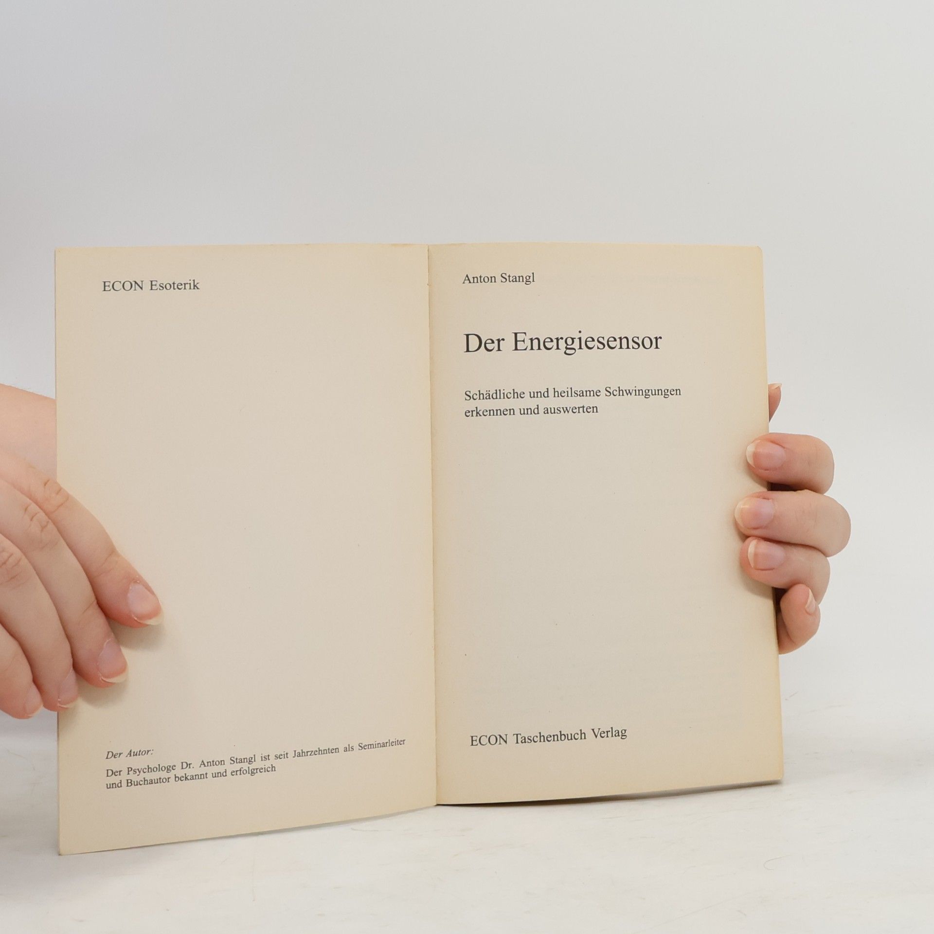 Anton Stangl Der Energiesensor