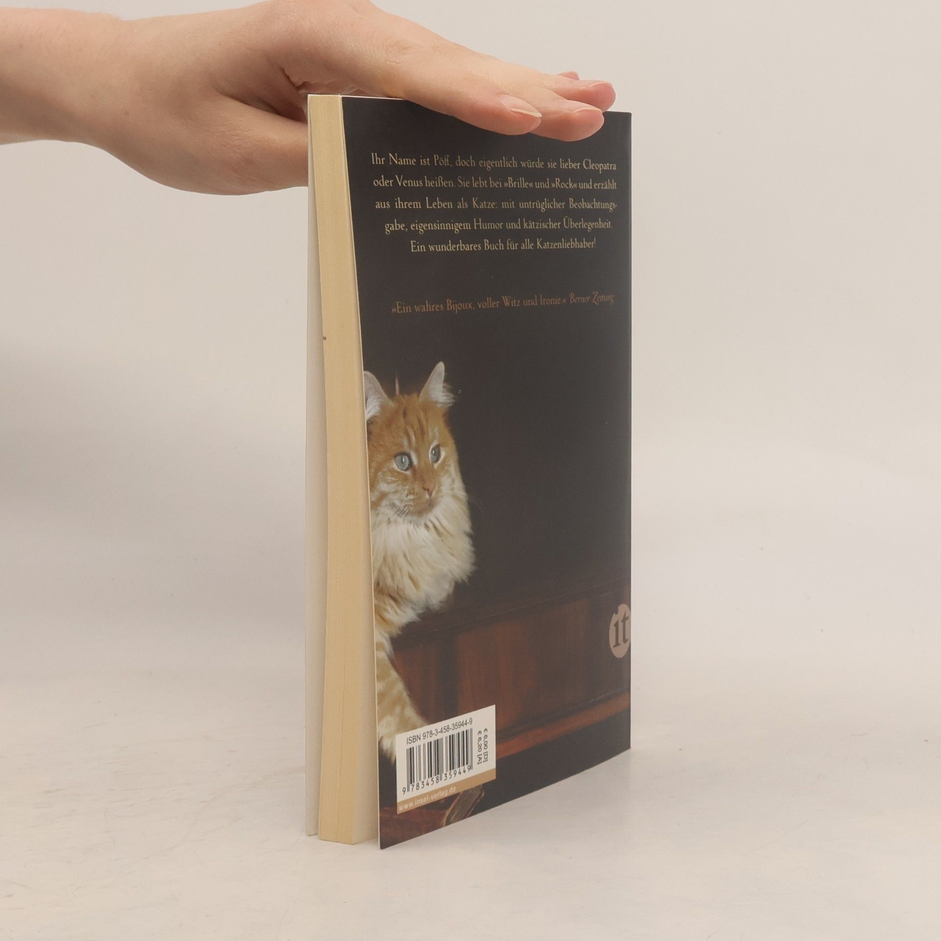 Remco Campert Tagebuch einer Katze