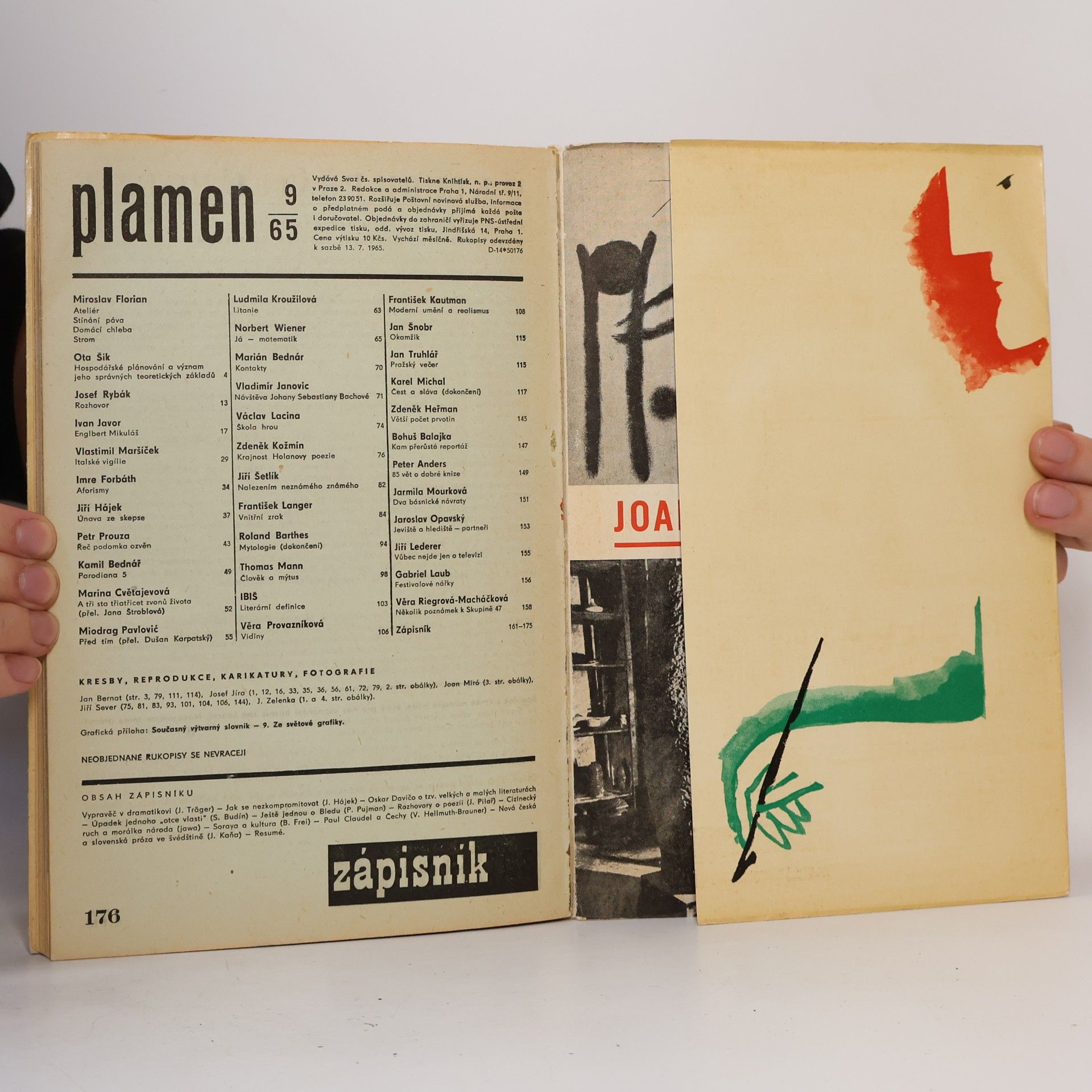 Kolektiv autorů Plamen 9/1965