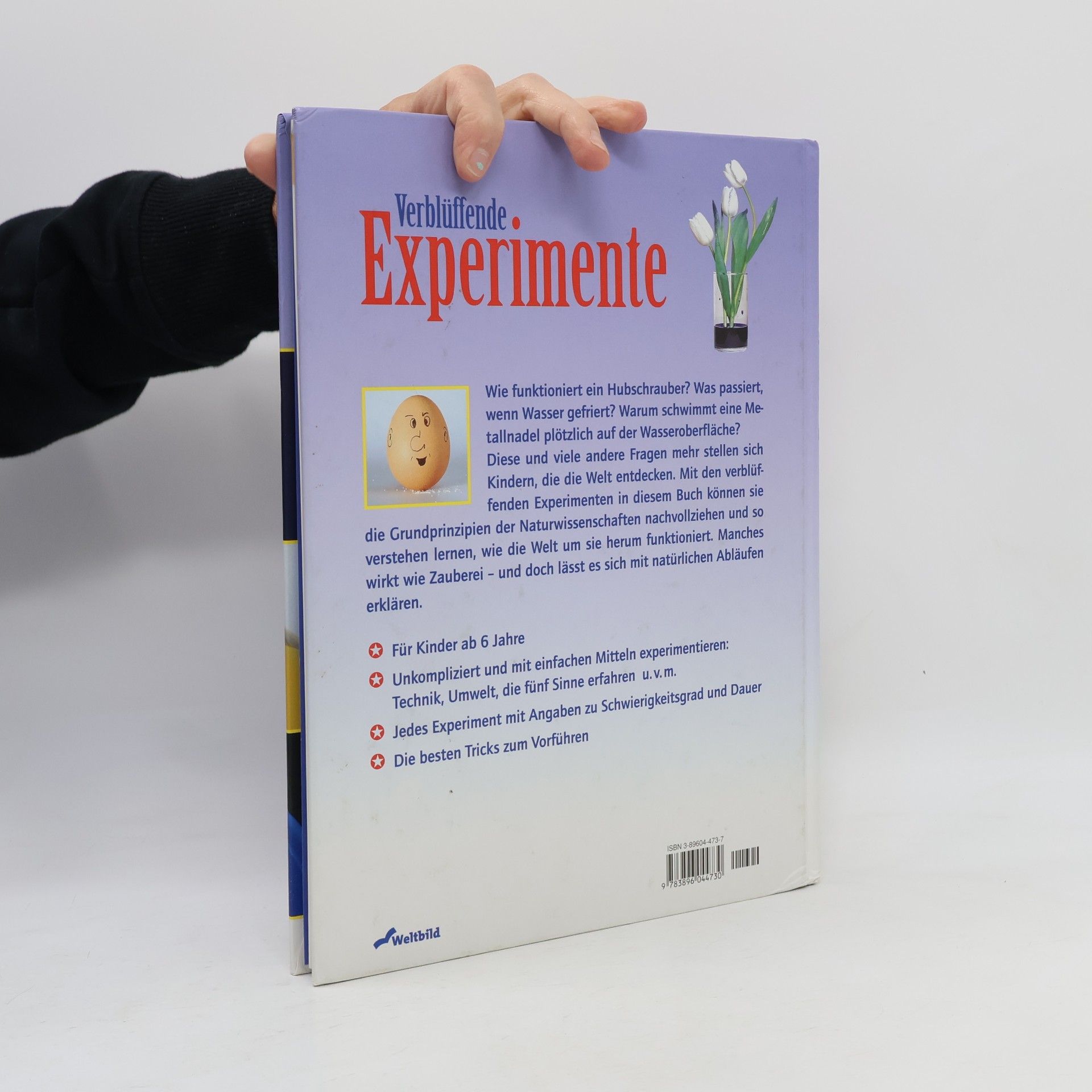 Annette Utz Verblüffende Experimente