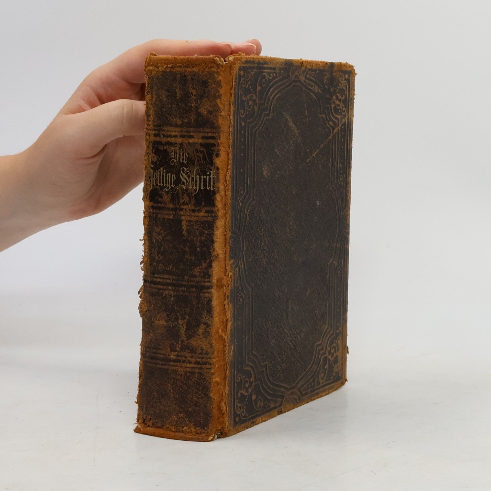 Martin Luther Die heilige Schrift. Zum gesegneten Andenken an den Tag der Konfirmation