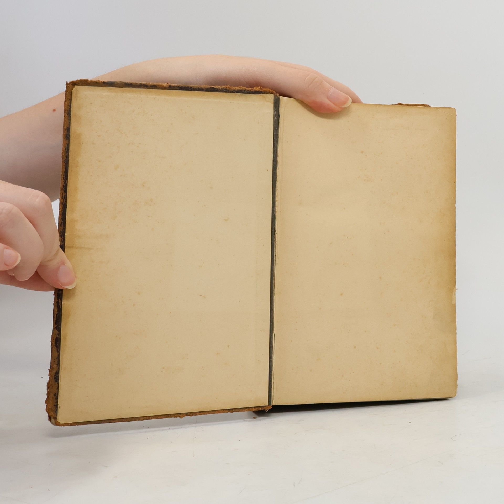 Martin Luther Die heilige Schrift. Zum gesegneten Andenken an den Tag der Konfirmation