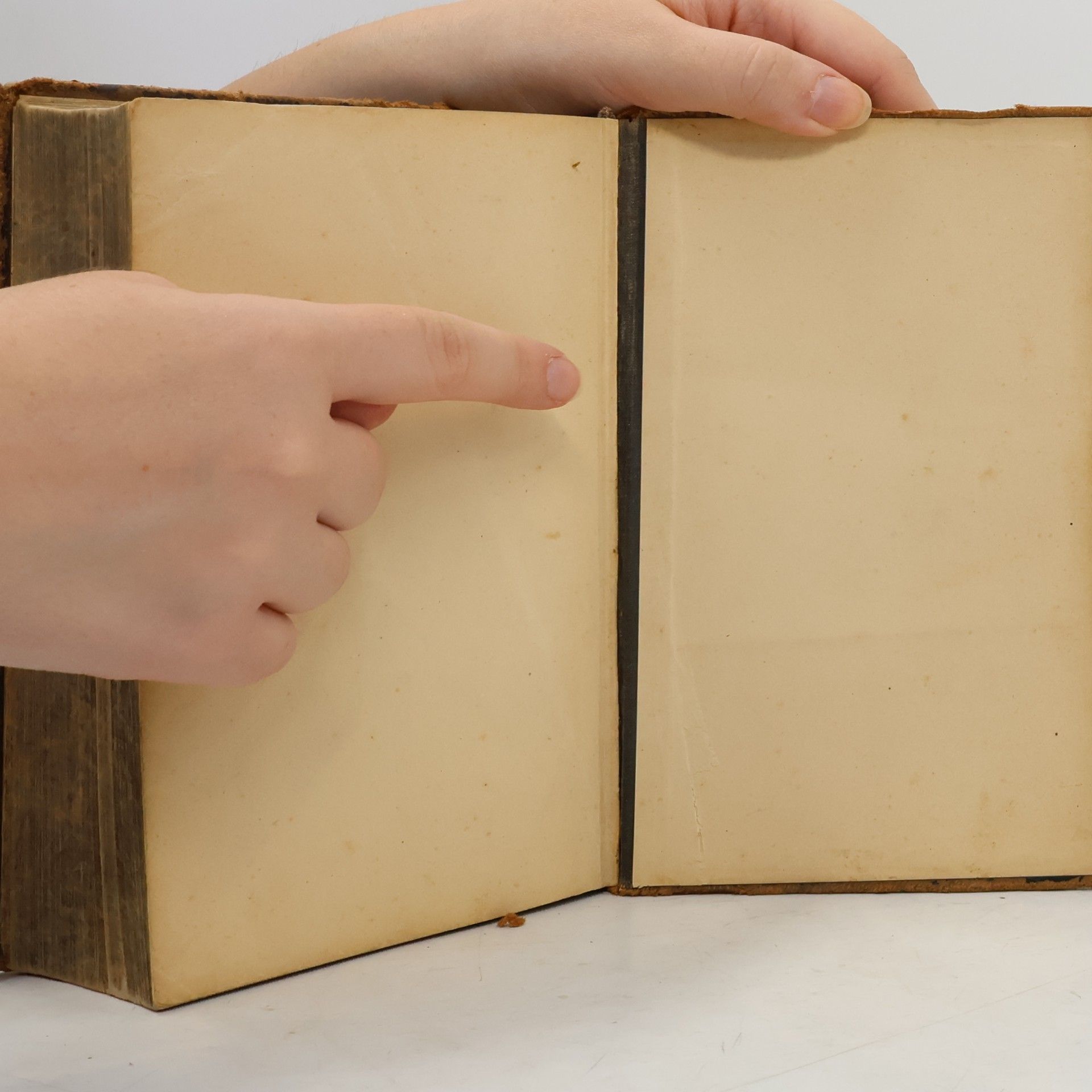 Martin Luther Die heilige Schrift. Zum gesegneten Andenken an den Tag der Konfirmation