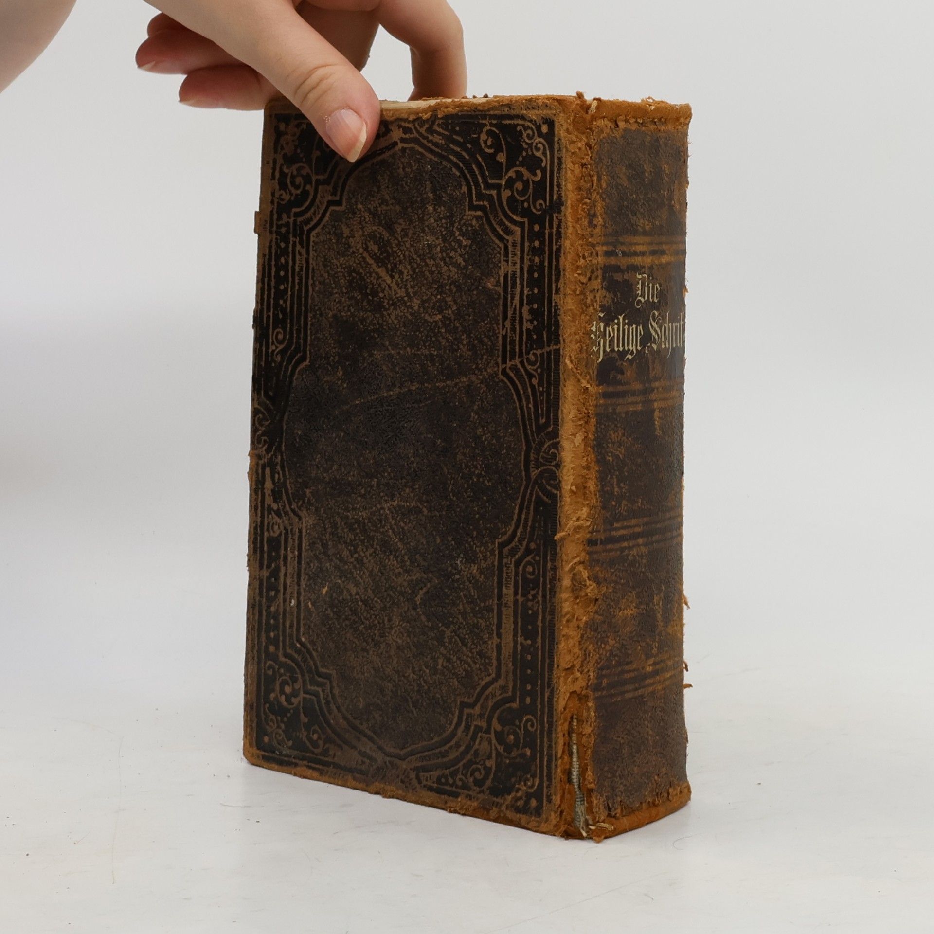 Martin Luther Die heilige Schrift. Zum gesegneten Andenken an den Tag der Konfirmation