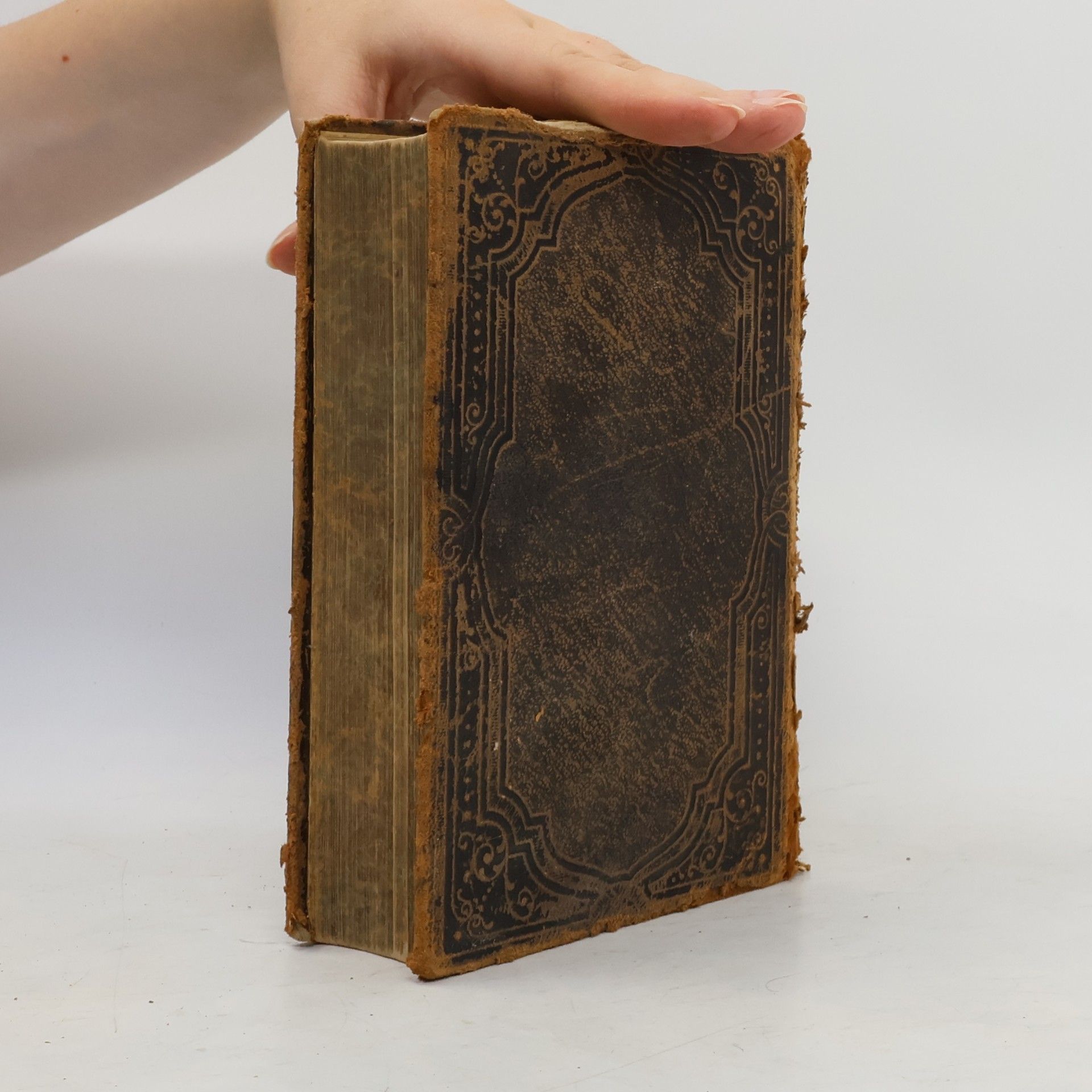 Martin Luther Die heilige Schrift. Zum gesegneten Andenken an den Tag der Konfirmation