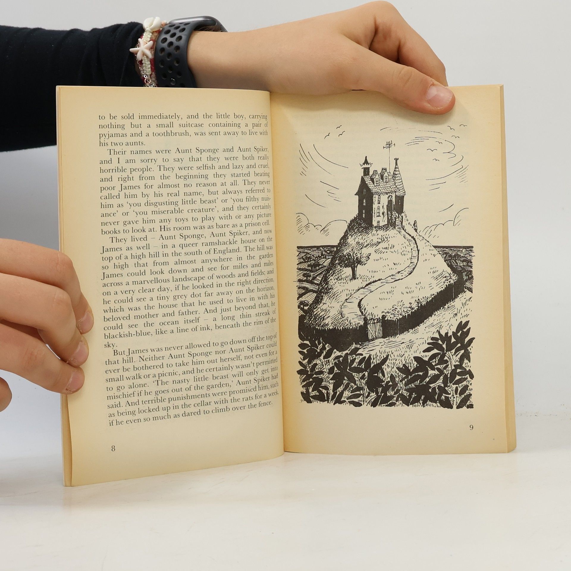 Roald Dahl James and the Giant Peach