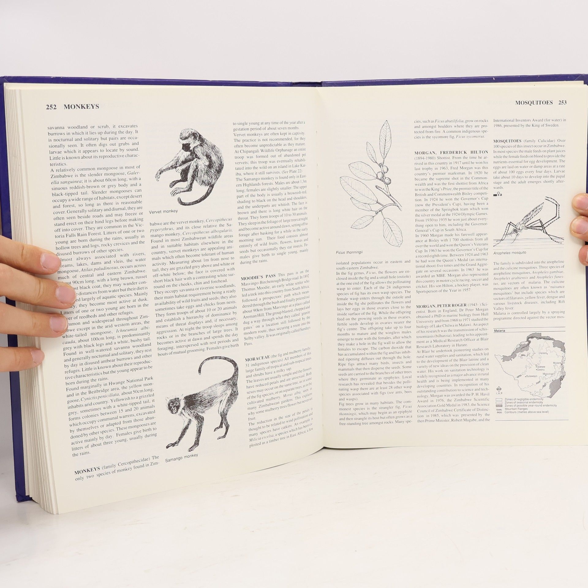 Autorenkollektiv Tabex Encyclopedia Zimbabwe