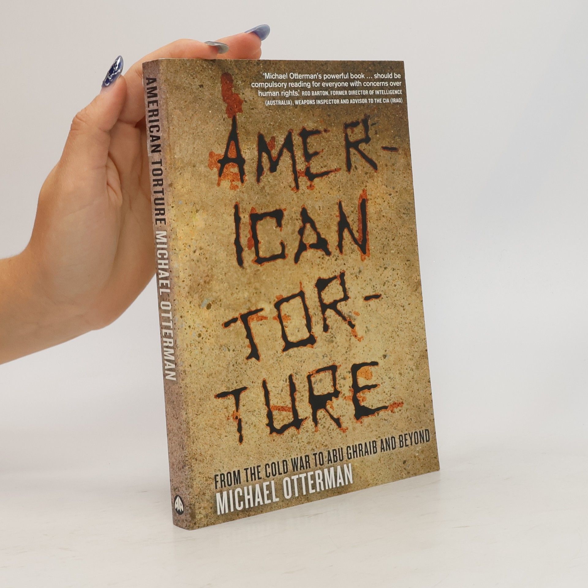 Michael Otterman American Torture