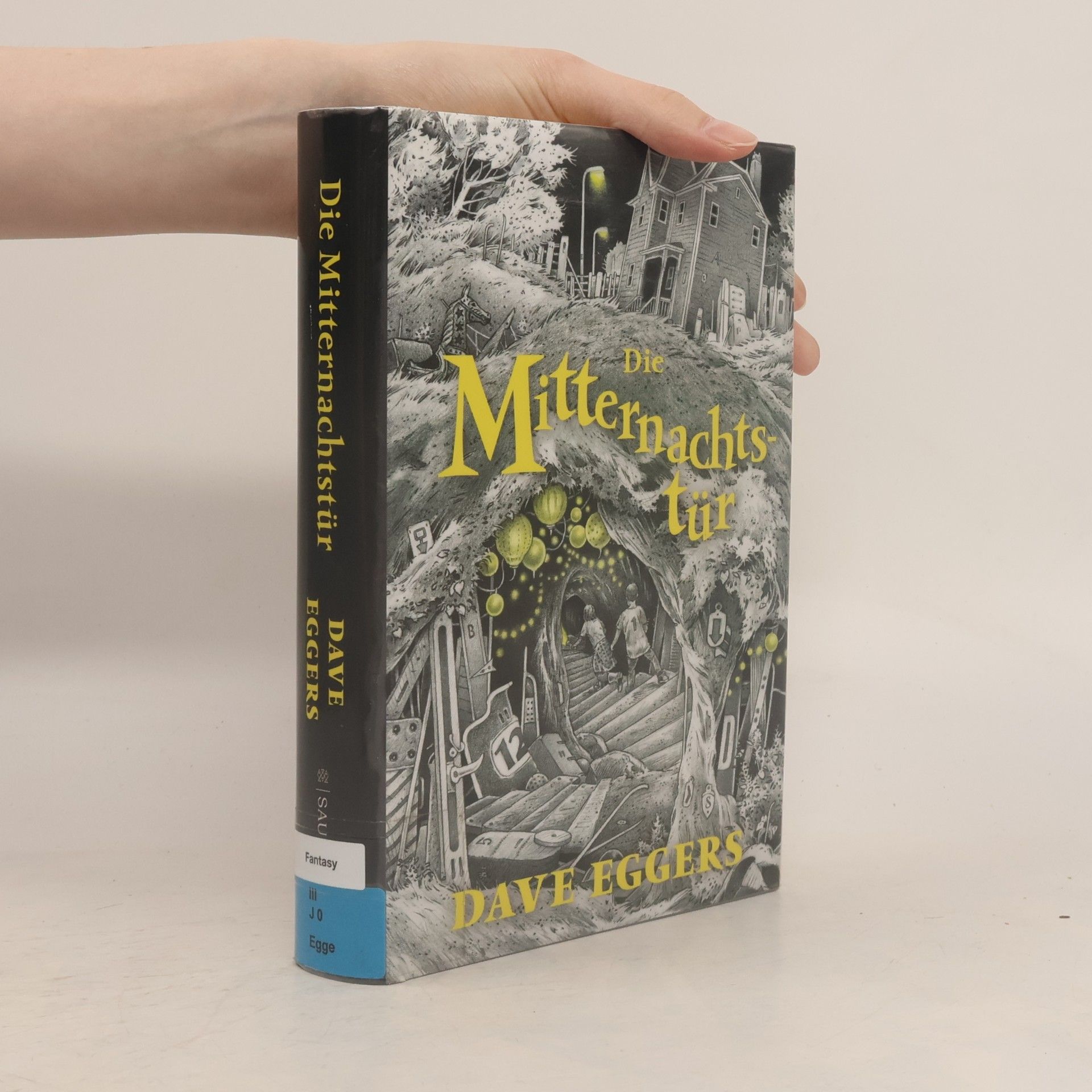 Dave Eggers Die Mitternachtstür