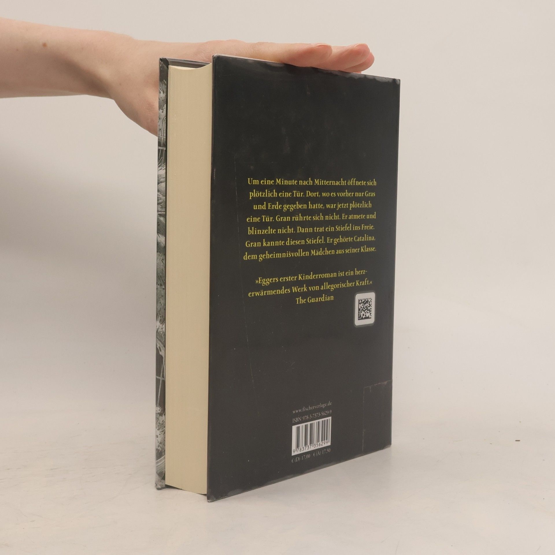 Dave Eggers Die Mitternachtstür