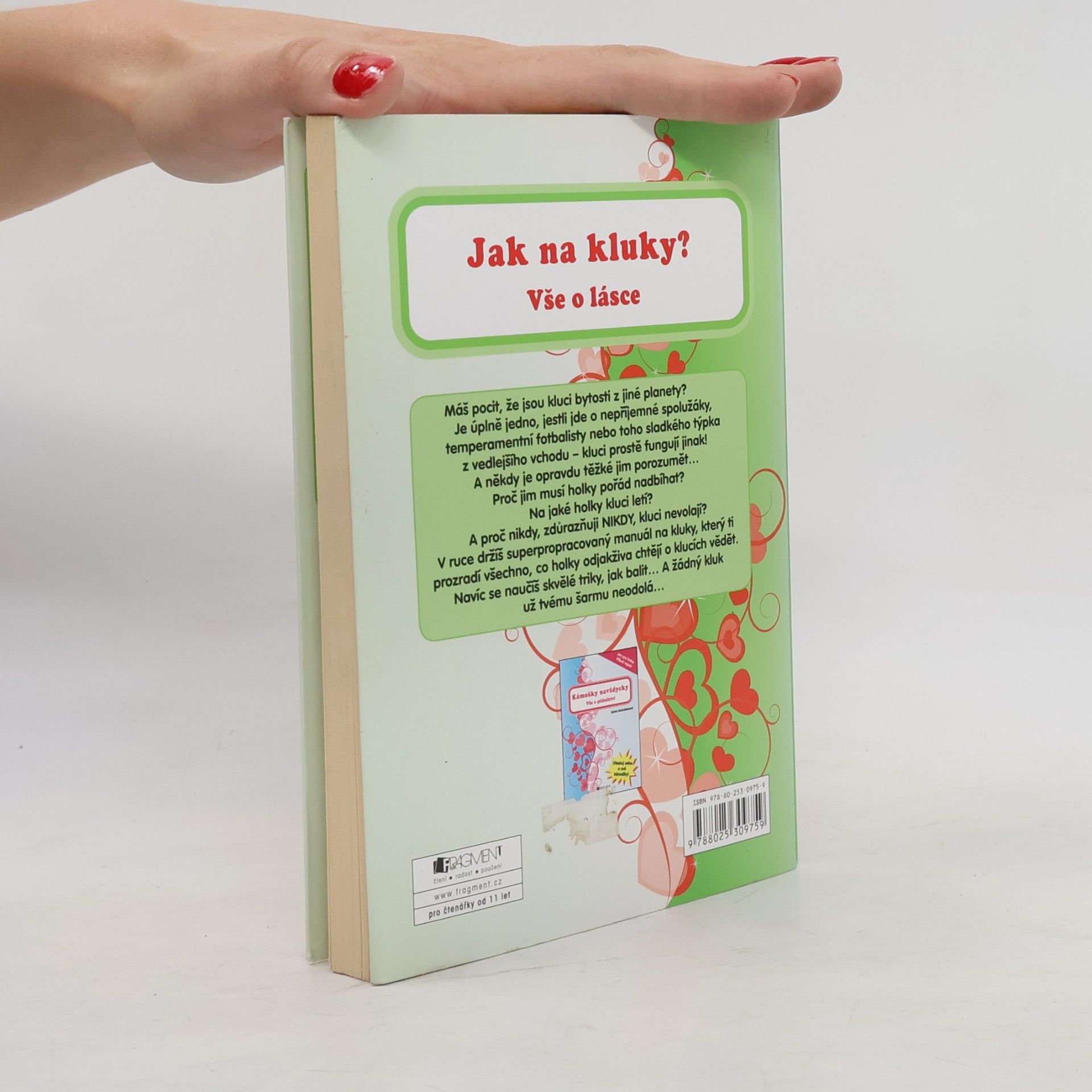 Sylvia Schneider Jak na kluky : vše o lásce