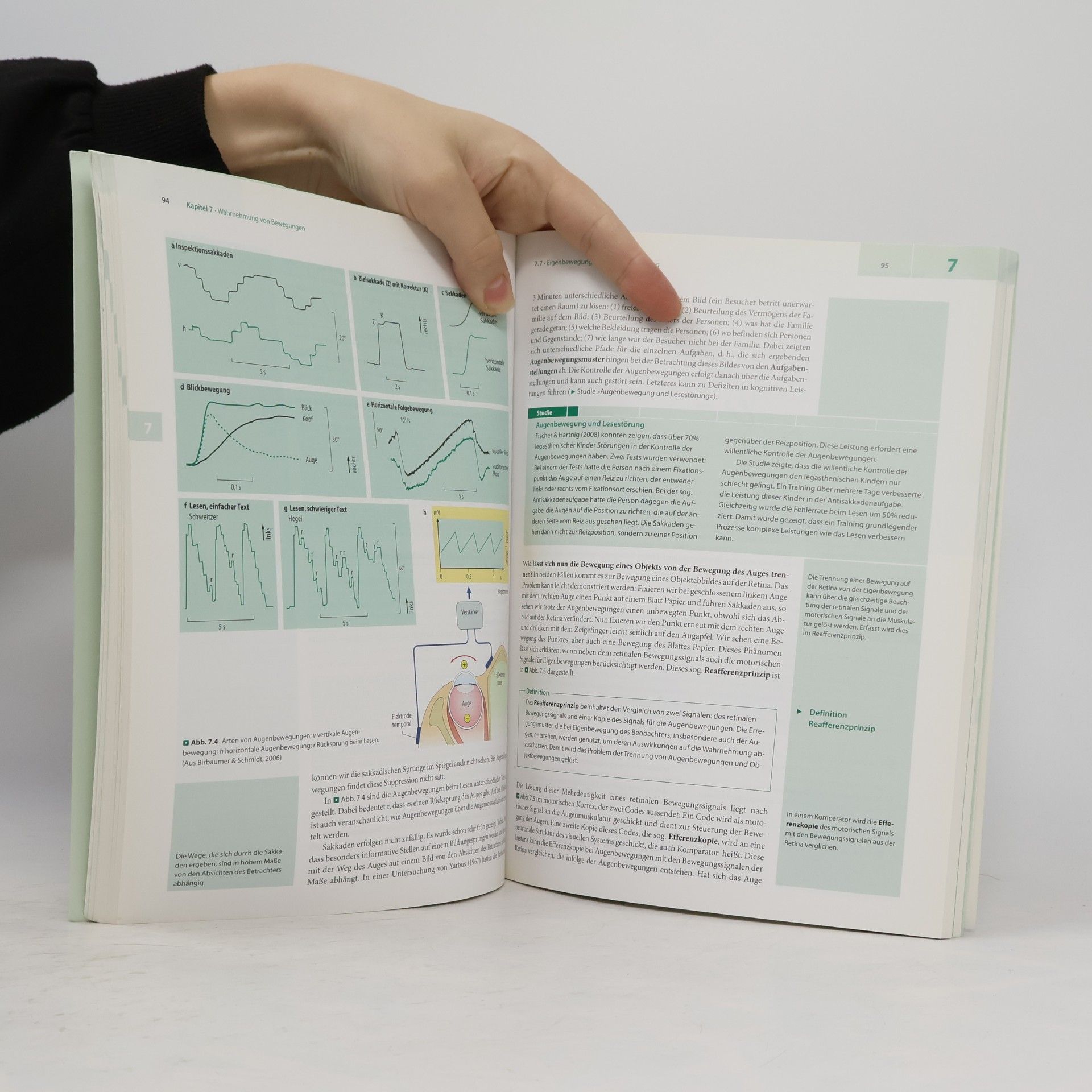 Herbert Hagendorf Wahrnehmung und Aufmerksamkeit (Lehrbuch mit Online-Materialien)