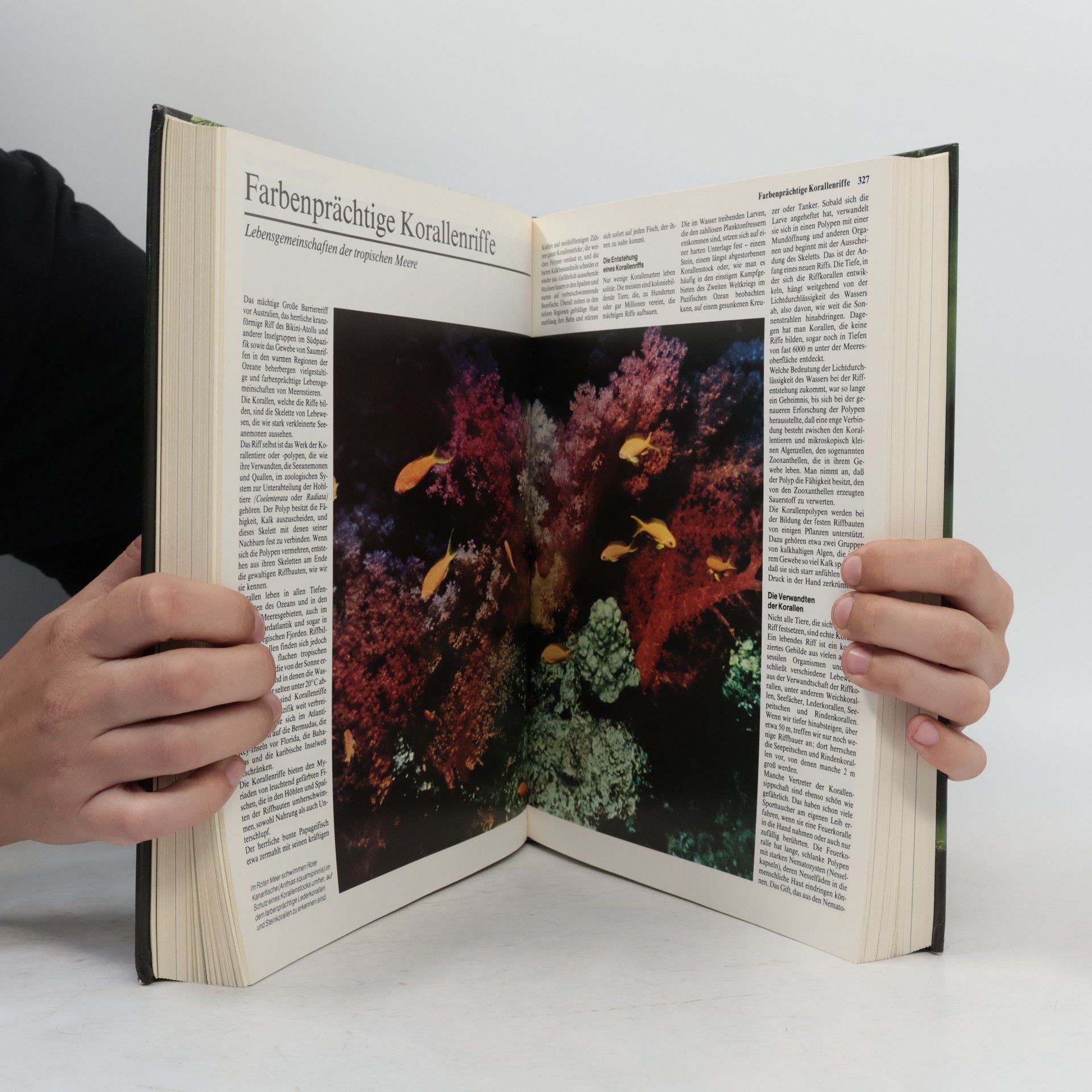 Heinz Sielmann Das grosse Buch der Tierwelt