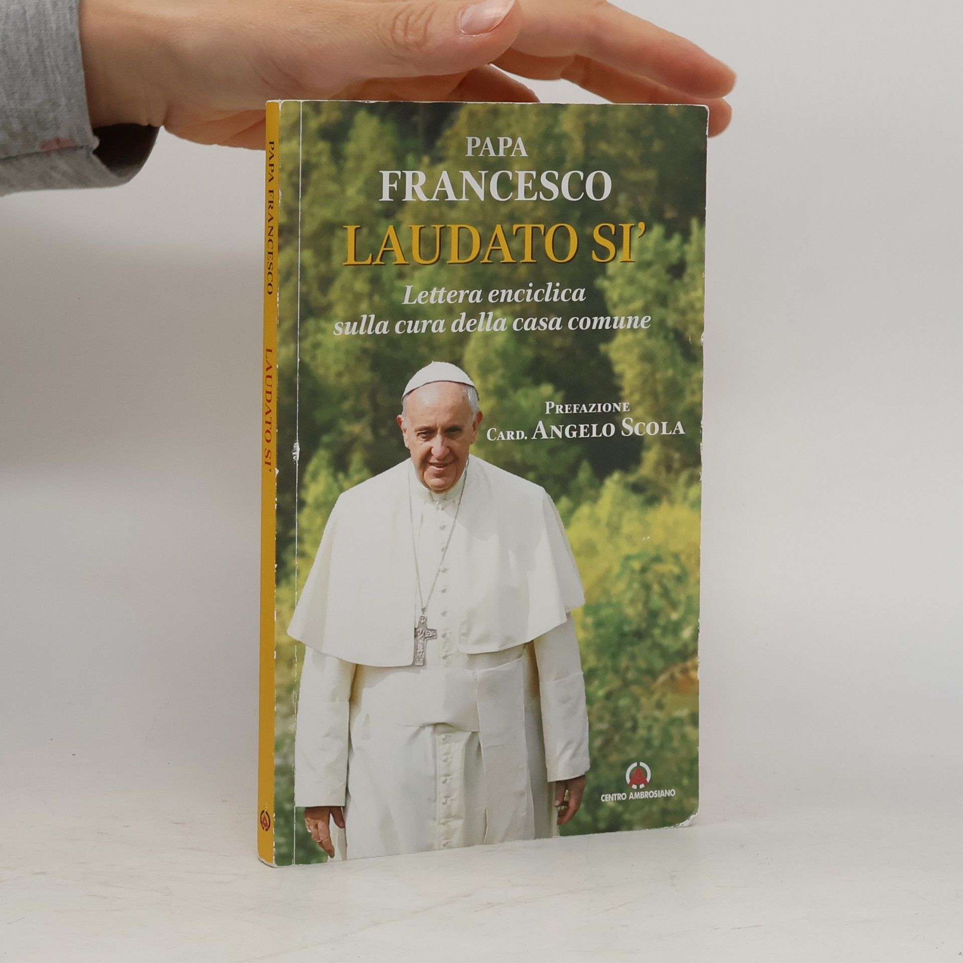 Laudato si'. Lettera enciclica sulla cura della casa comune