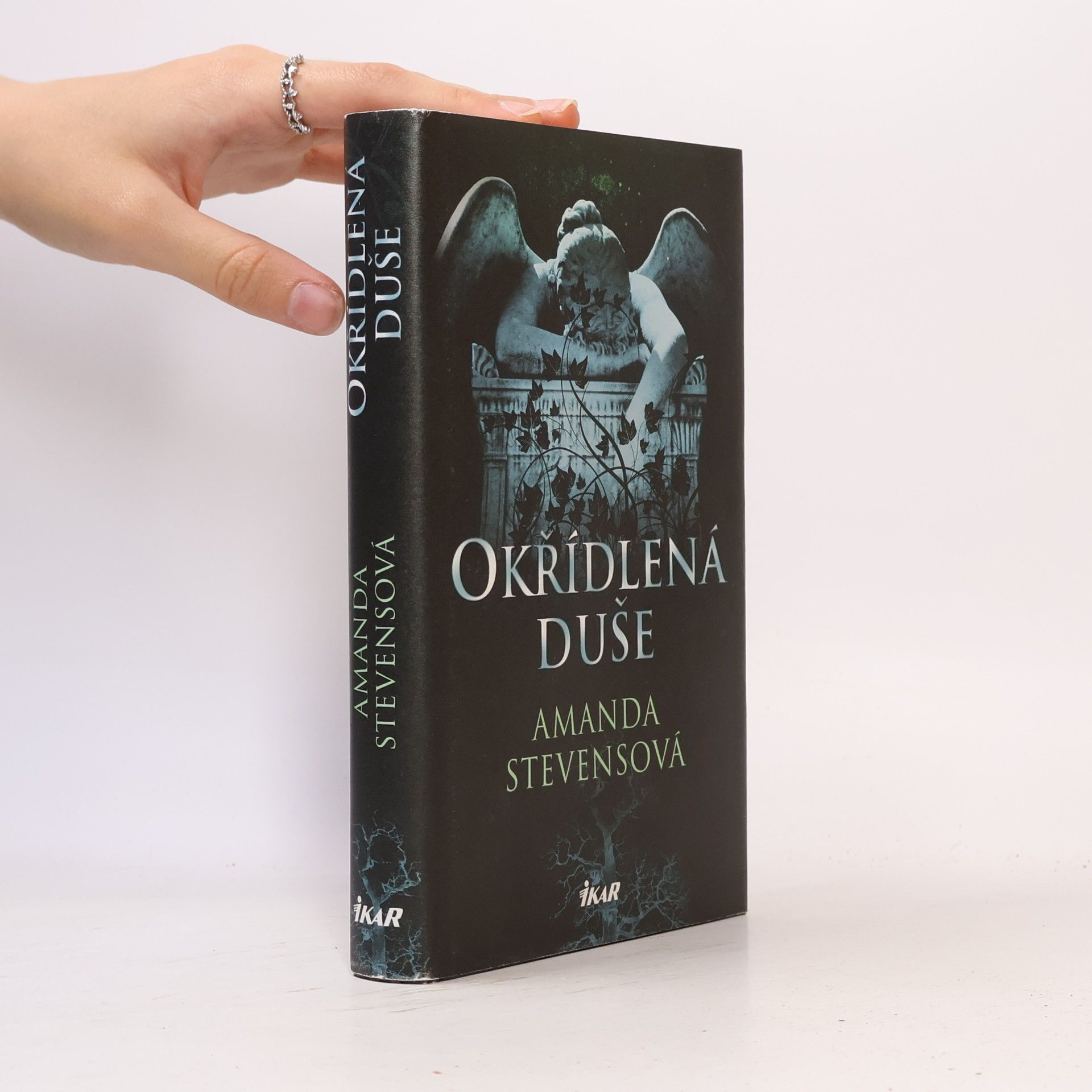 Amanda Stevens Okřídlená duše