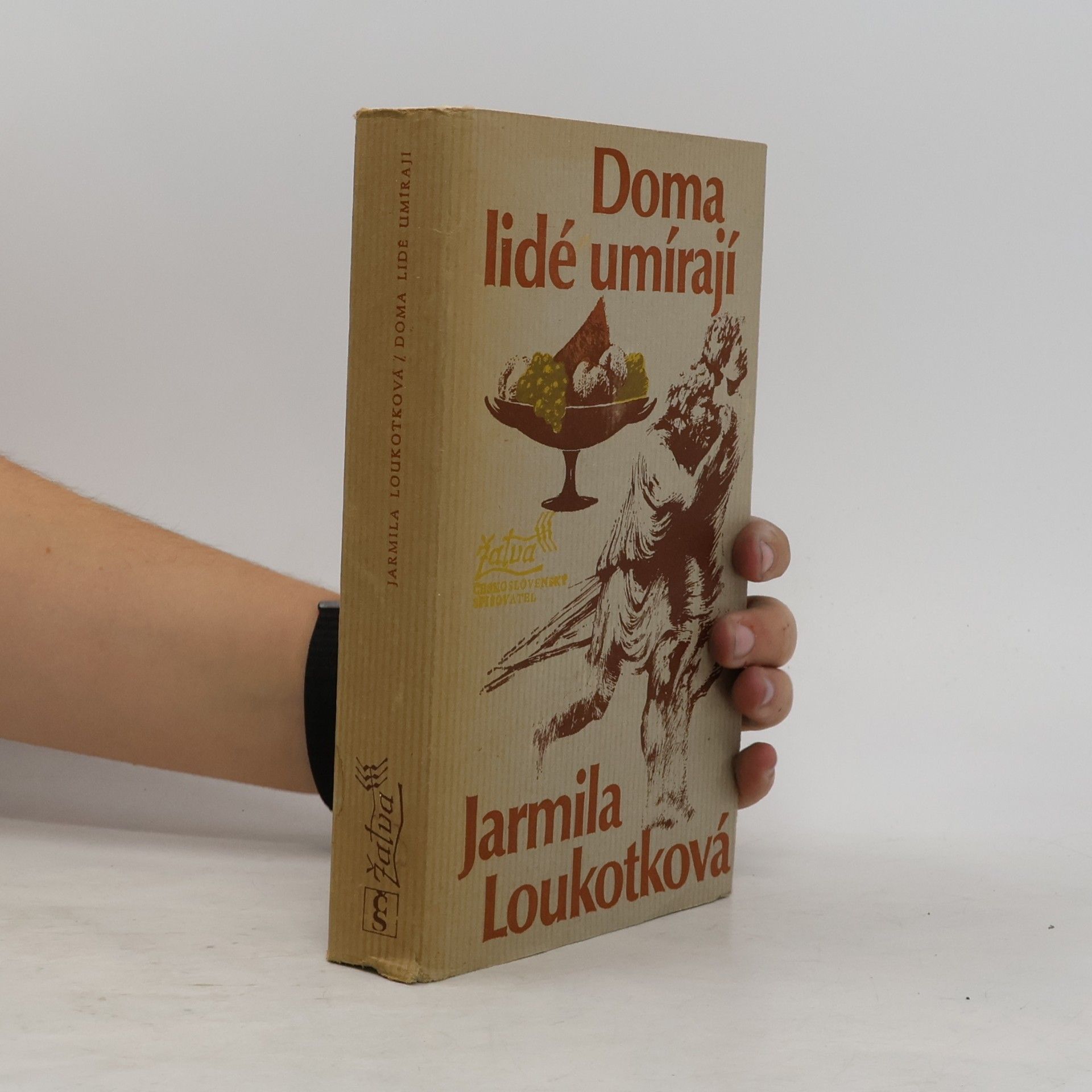Jarmila Loukotková Doma lidé umírají