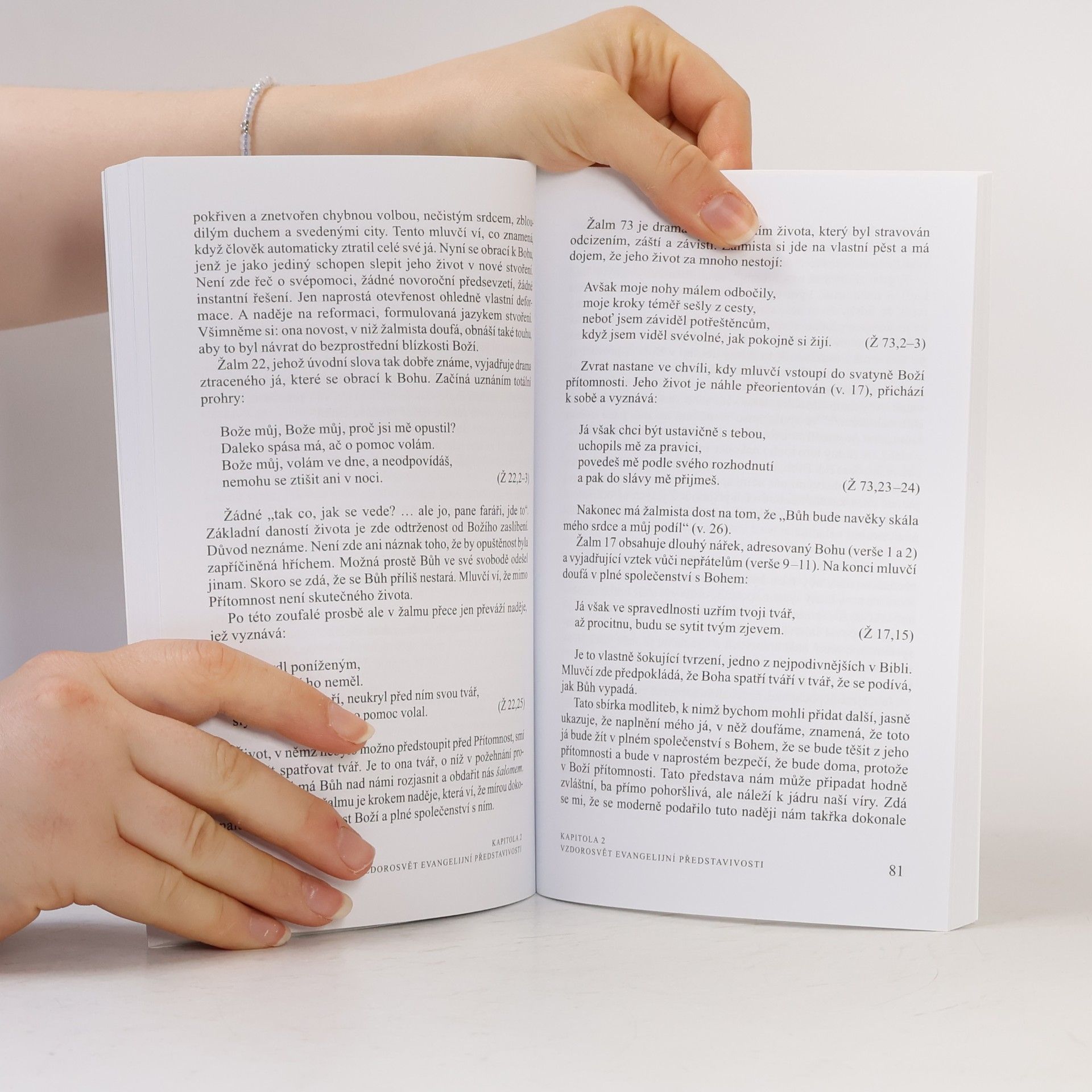 Walter Brueggemann Bible a postmoderní představivost : písmo jako scénář života