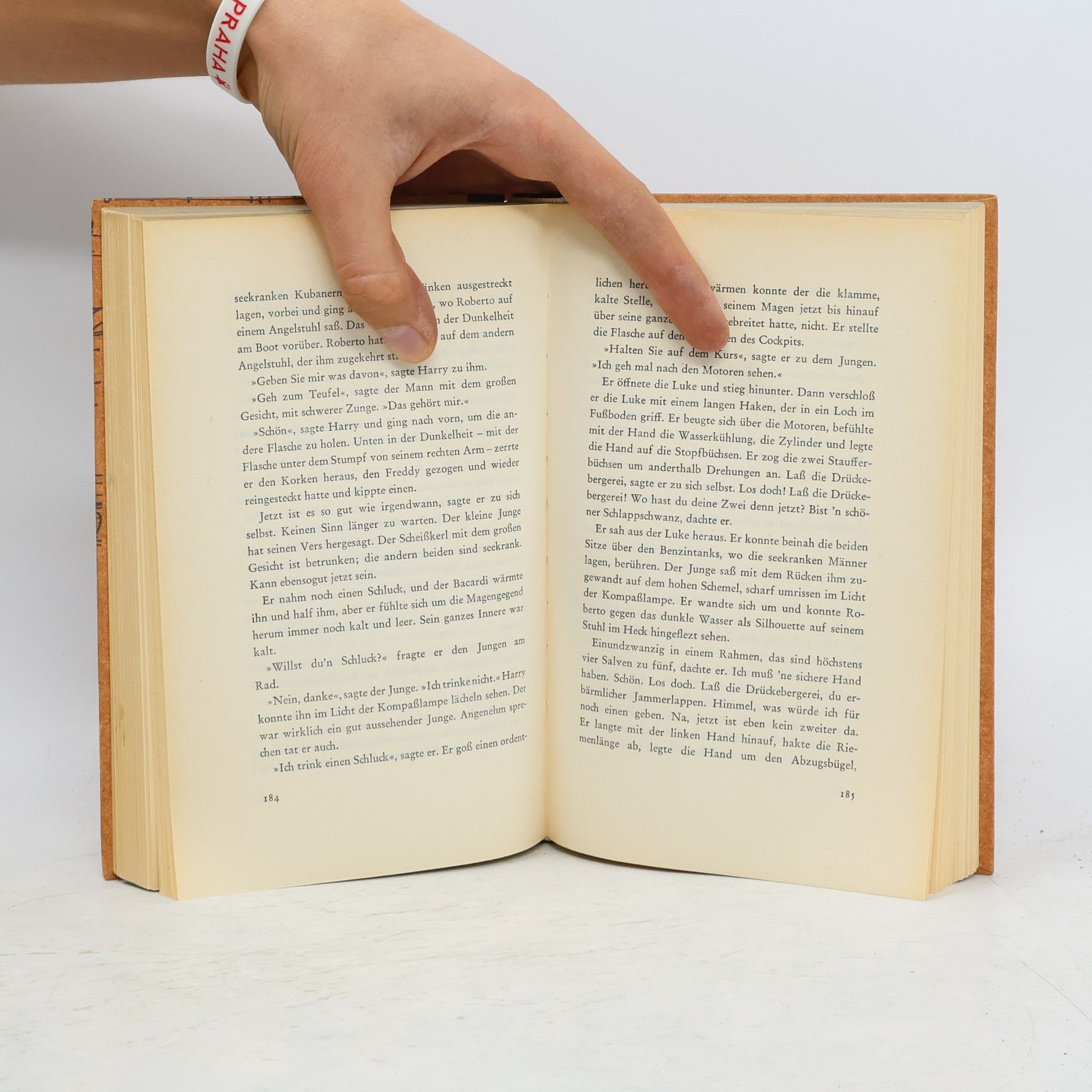 Ernest Hemingway Haben und Nichthaben