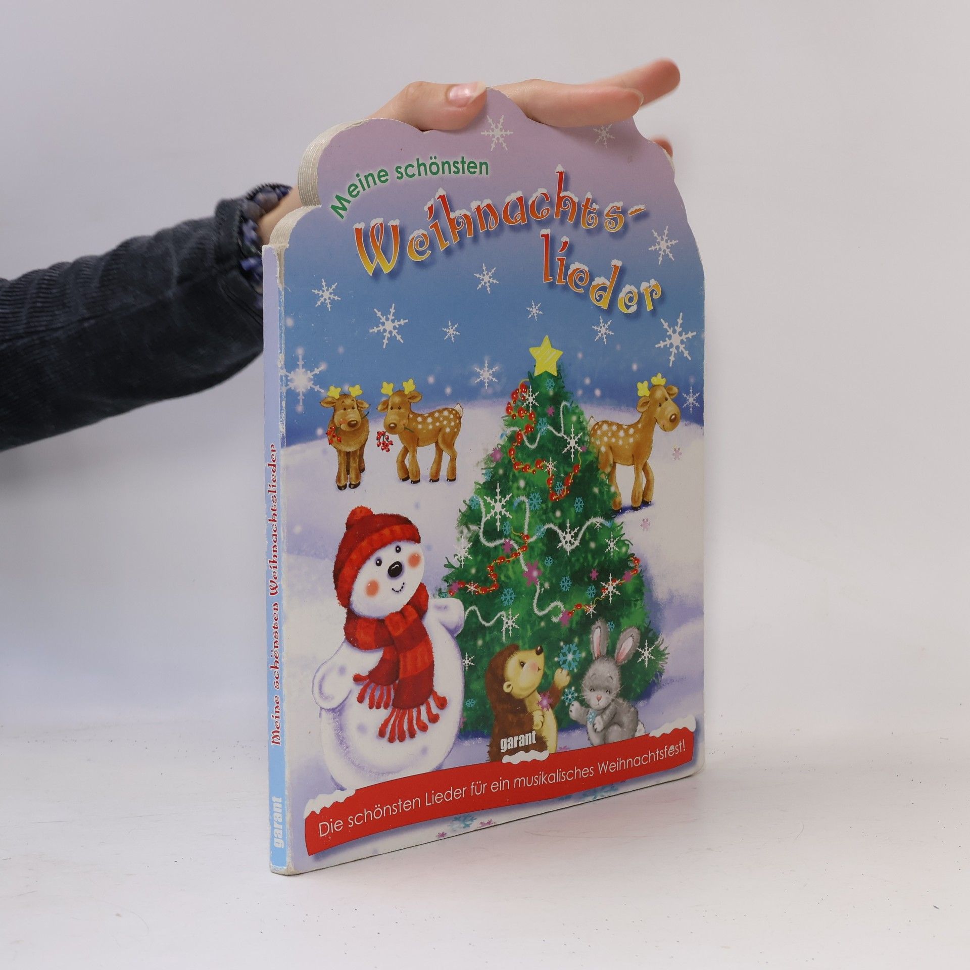 Autorenkollektiv Meine schönsten Weihnachtslieder